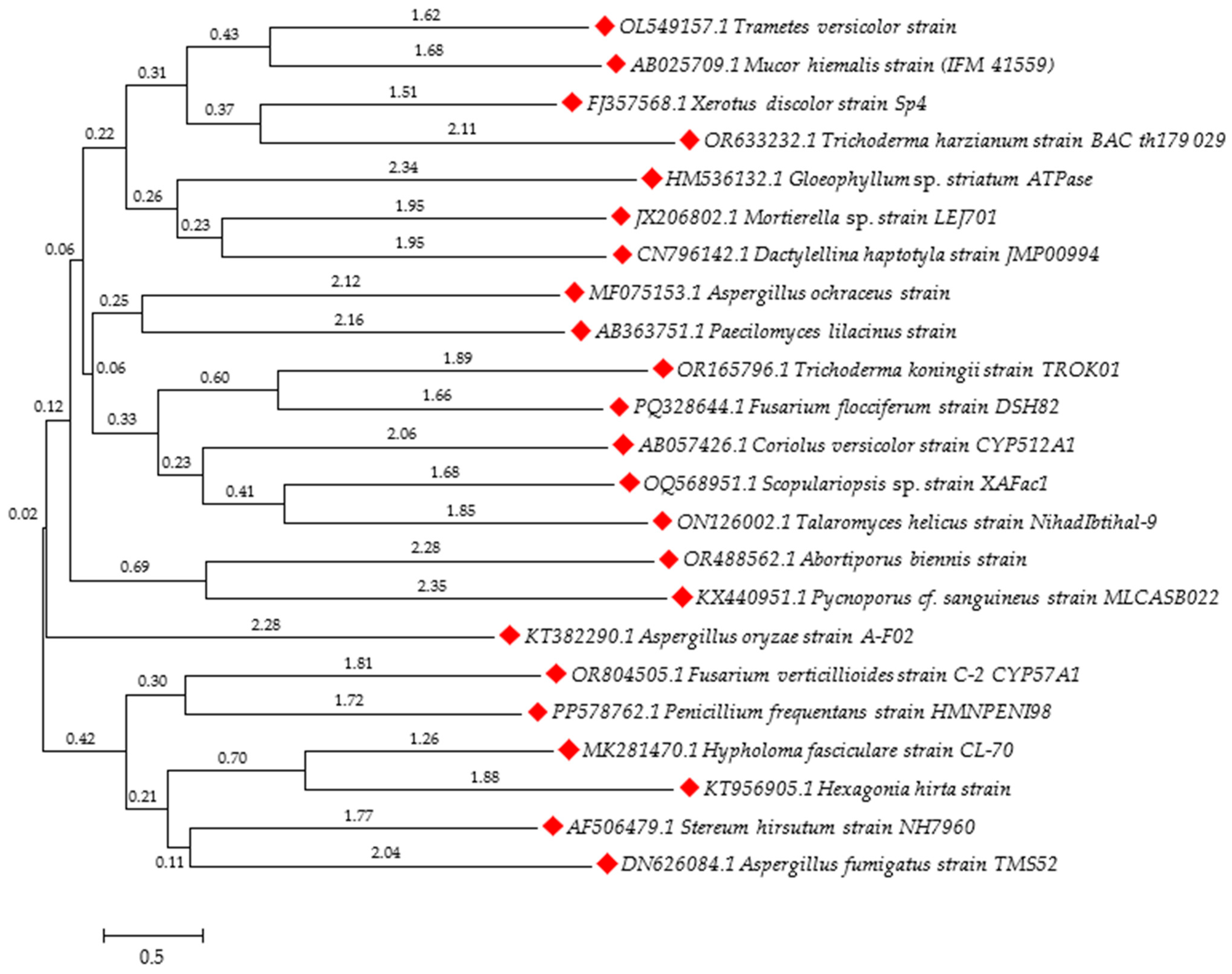 Molecules 29 05965 g005 Molecules 29 05965 g005