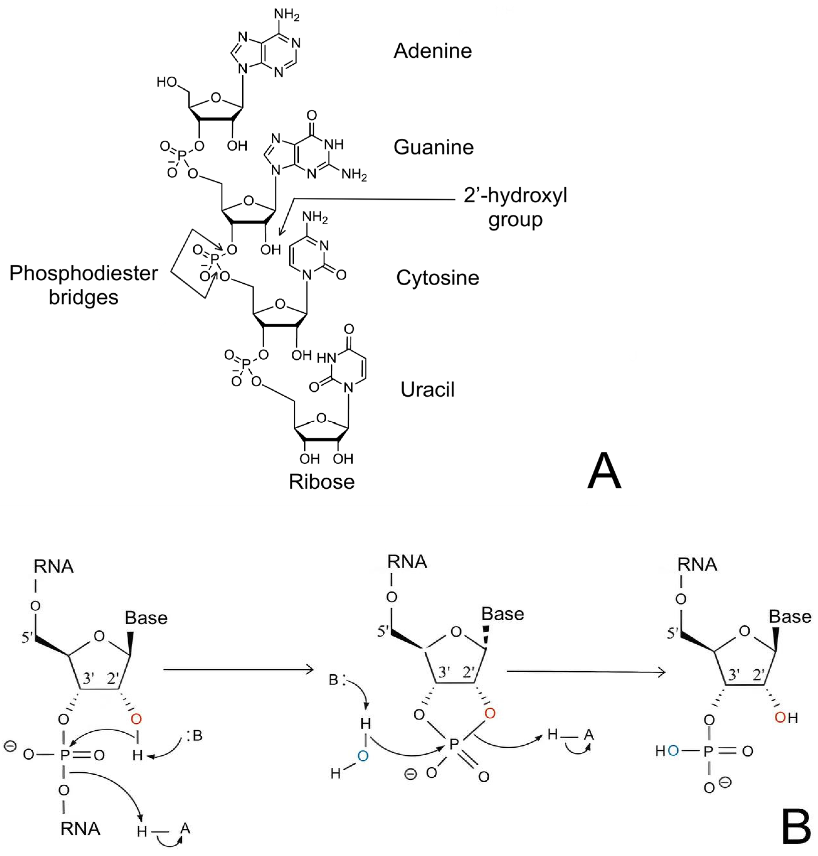 Molecules 29 05978 g001 Molecules 29 05978 g001