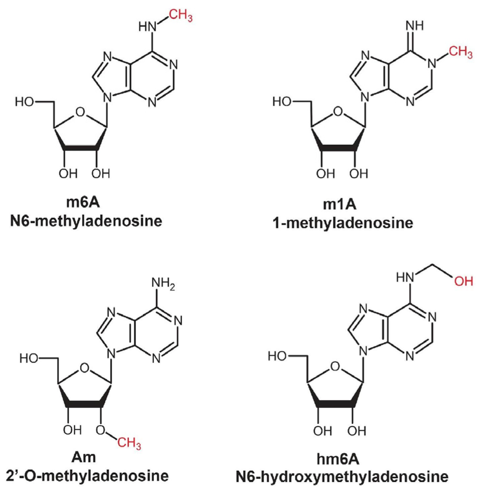 Molecules 29 05978 g002 Molecules 29 05978 g002