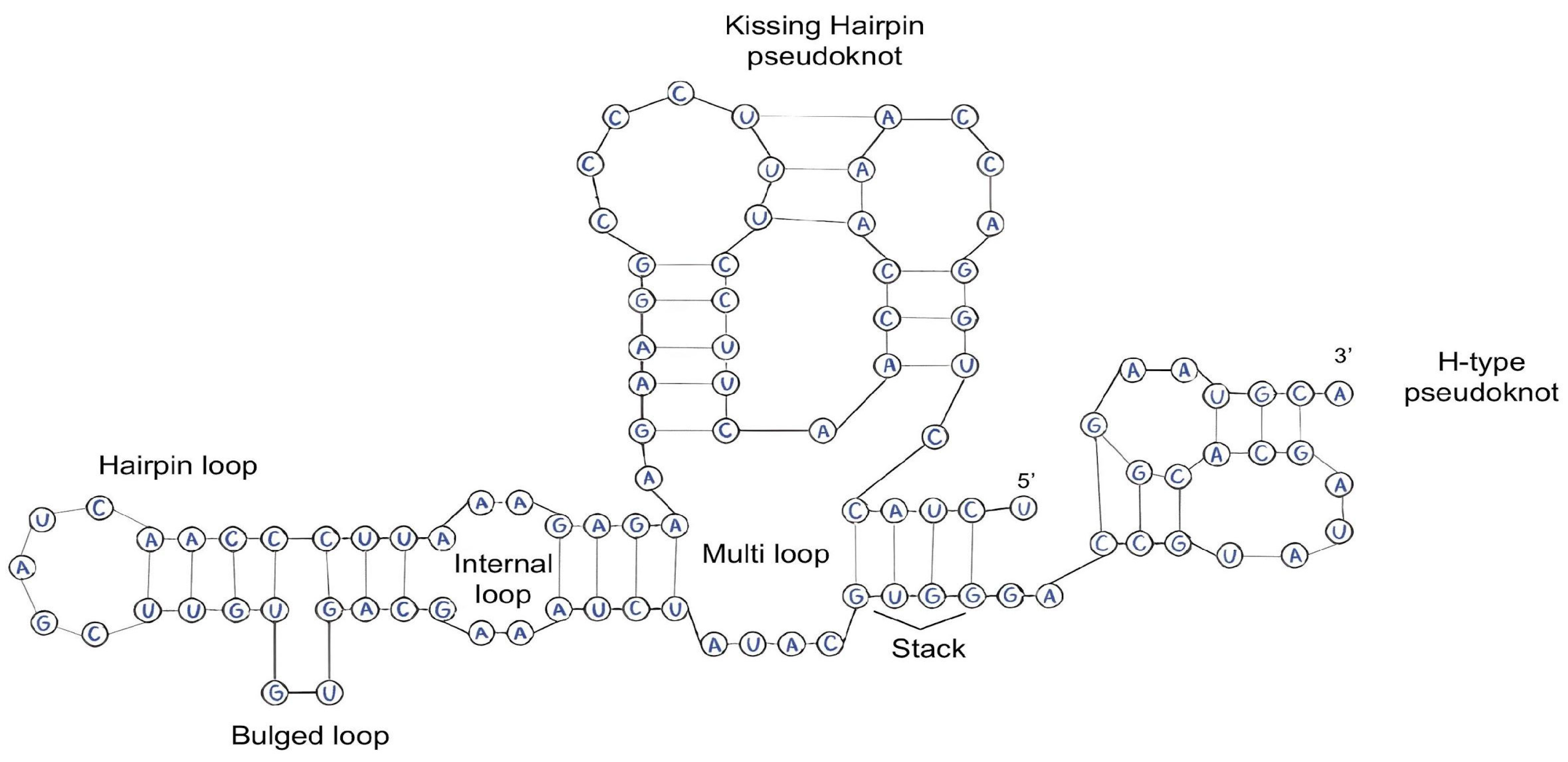 Molecules 29 05978 g003 Molecules 29 05978 g003
