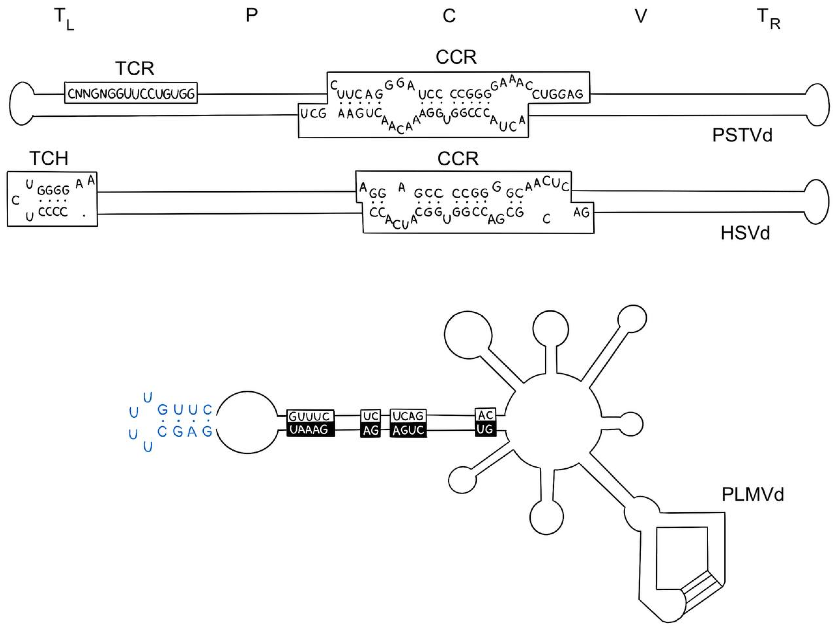 Molecules 29 05978 g004 Molecules 29 05978 g004