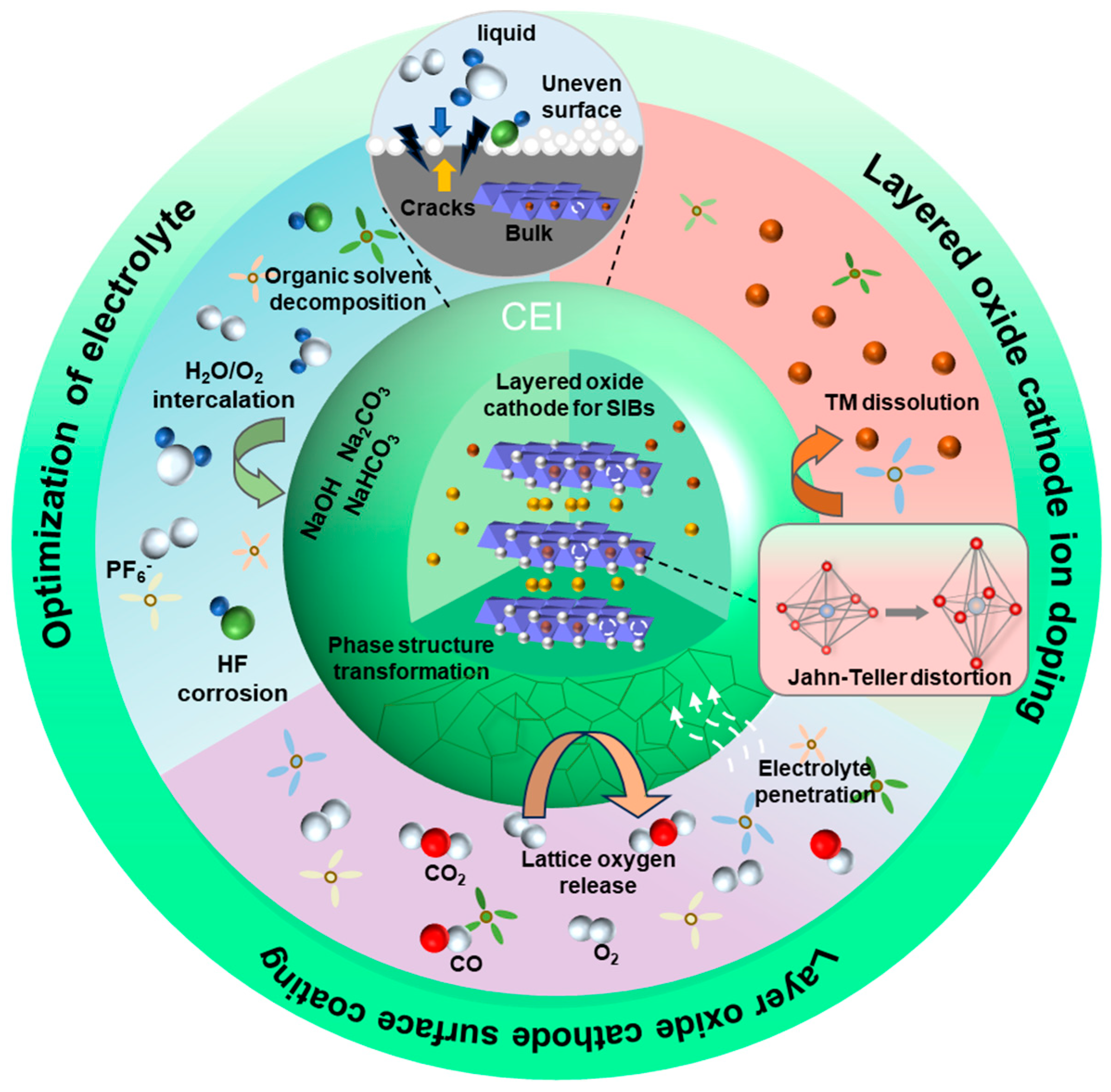 Molecules 29 05988 g001