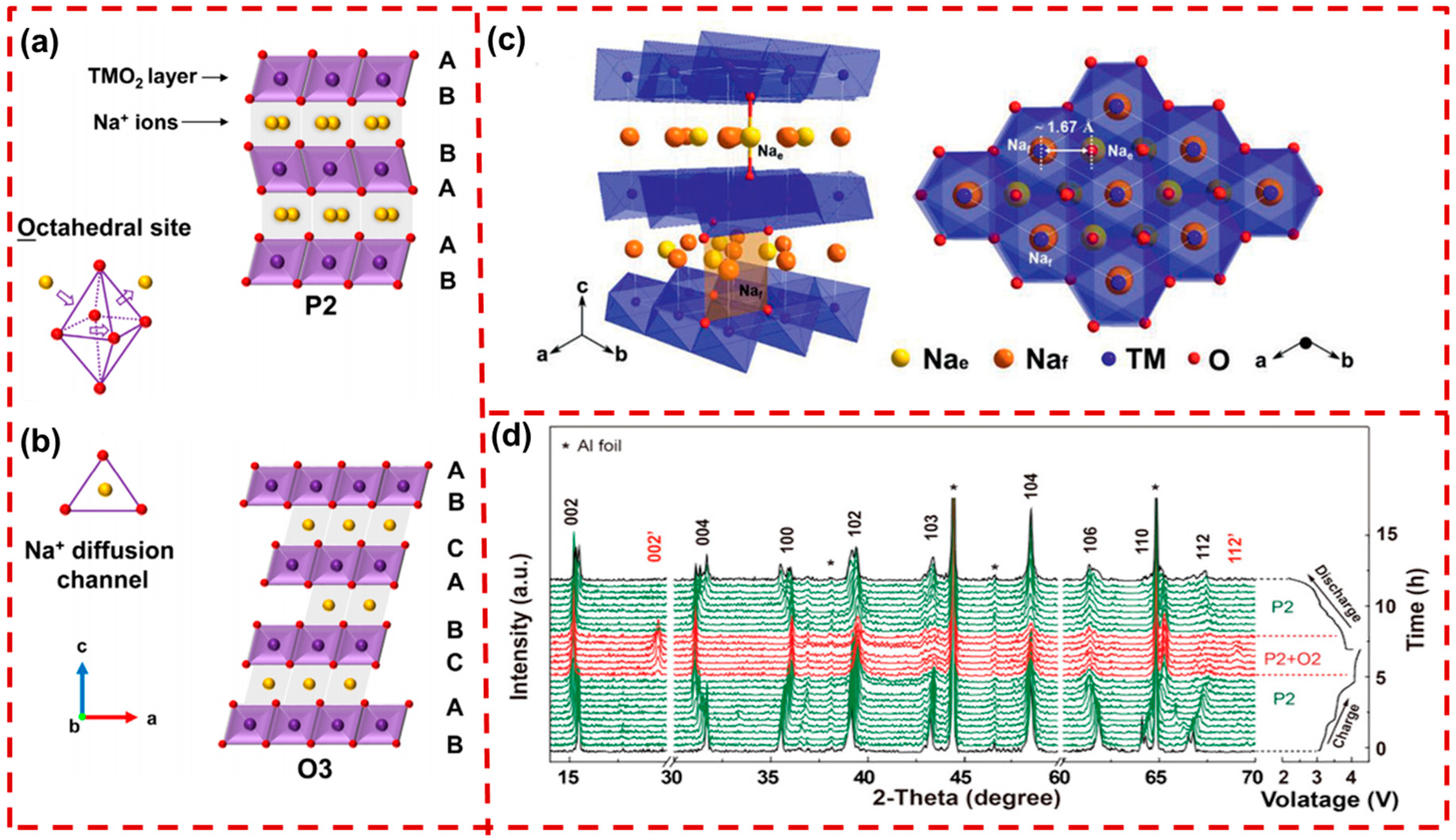 Molecules 29 05988 g002