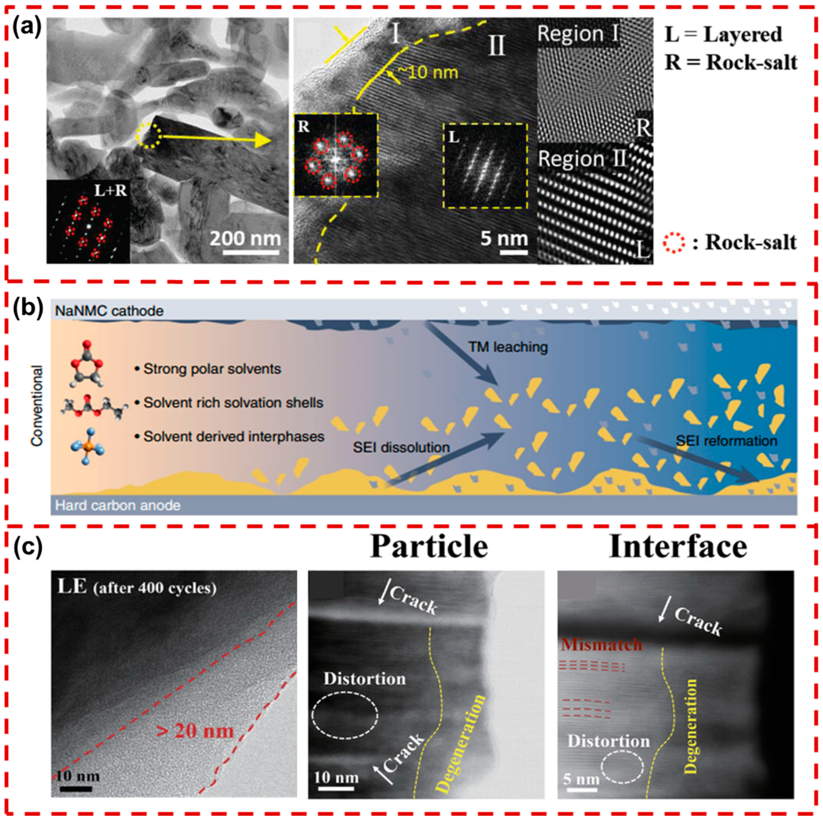 Molecules 29 05988 g007