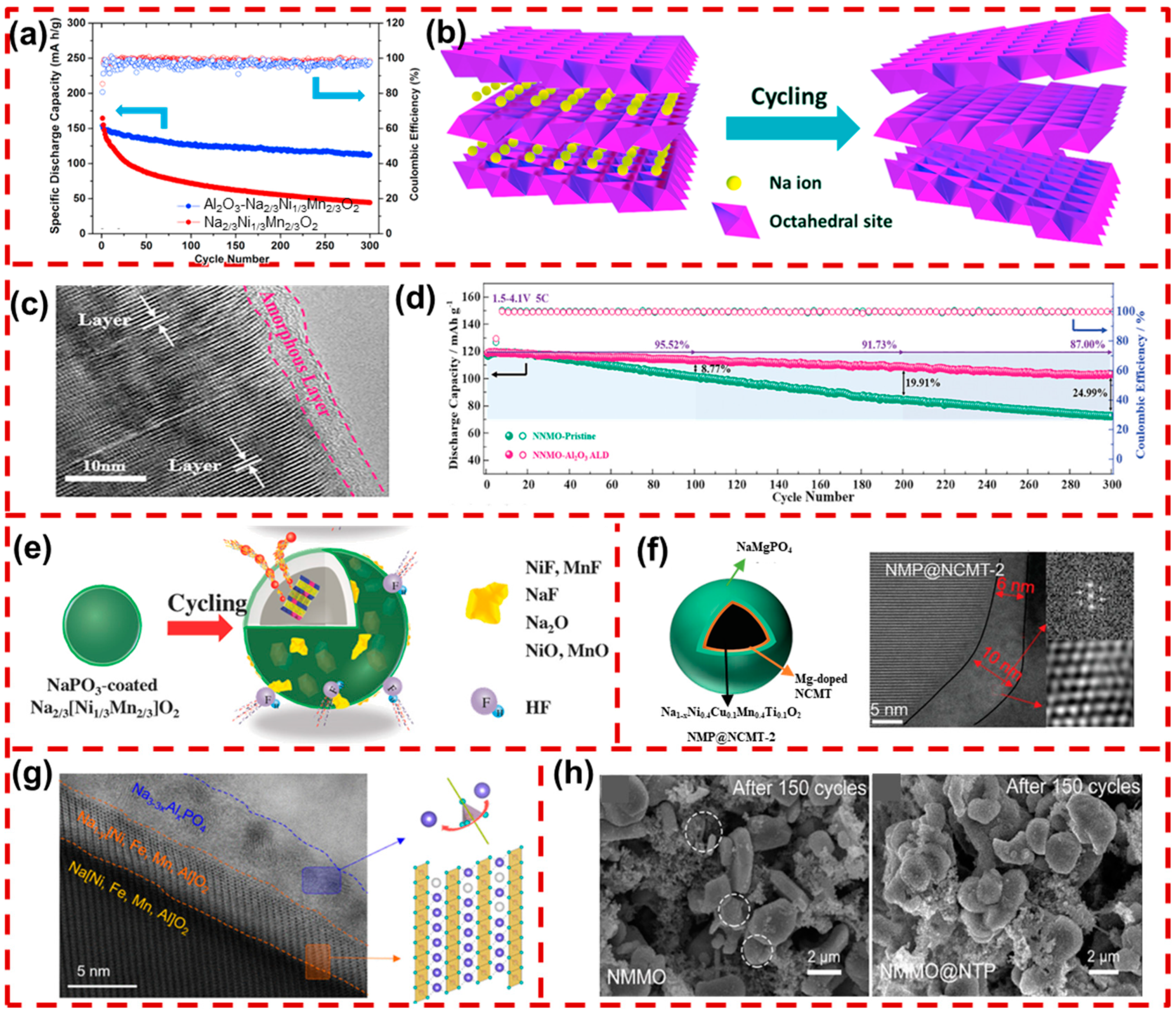 Molecules 29 05988 g008