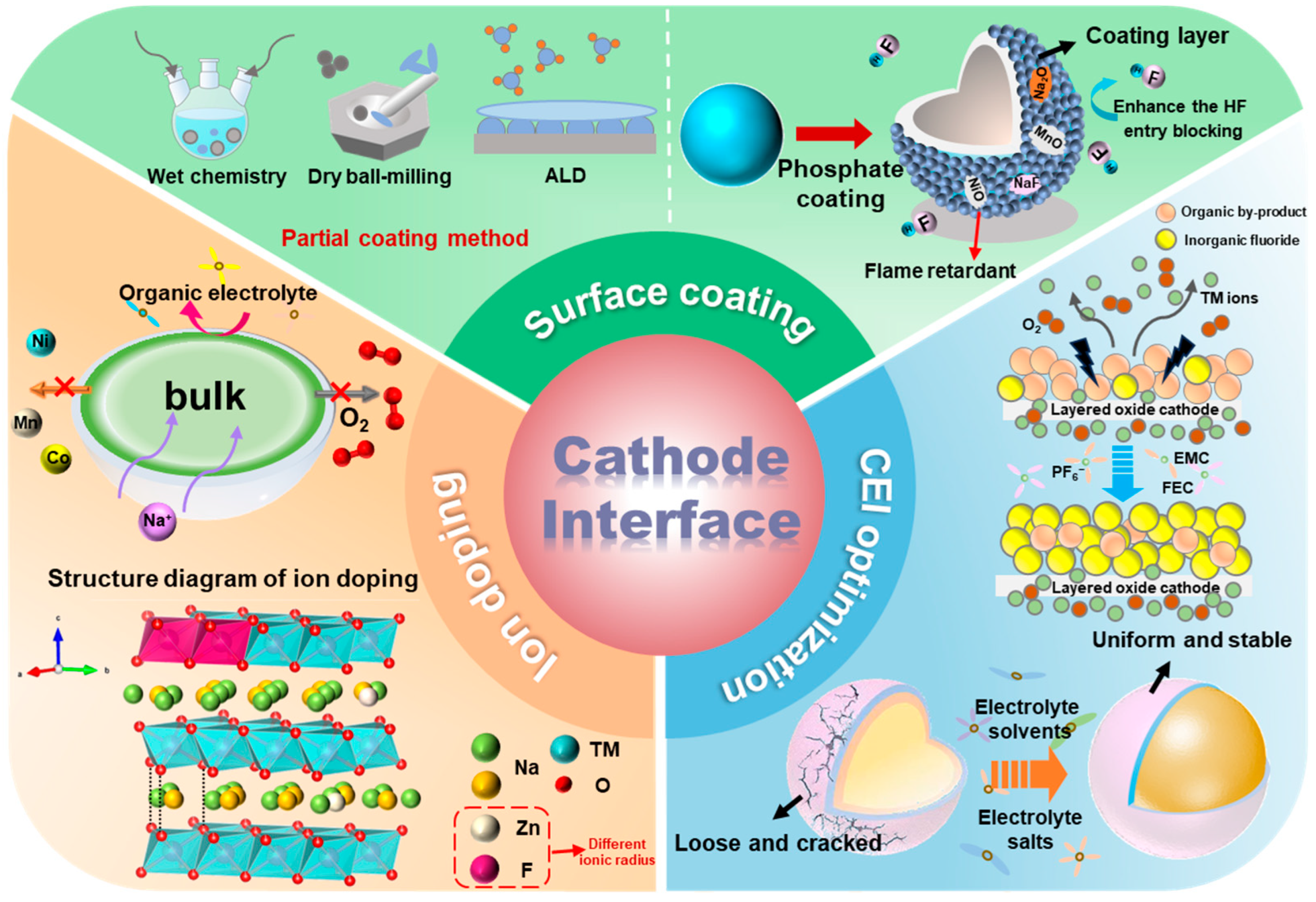 Molecules 29 05988 g011
