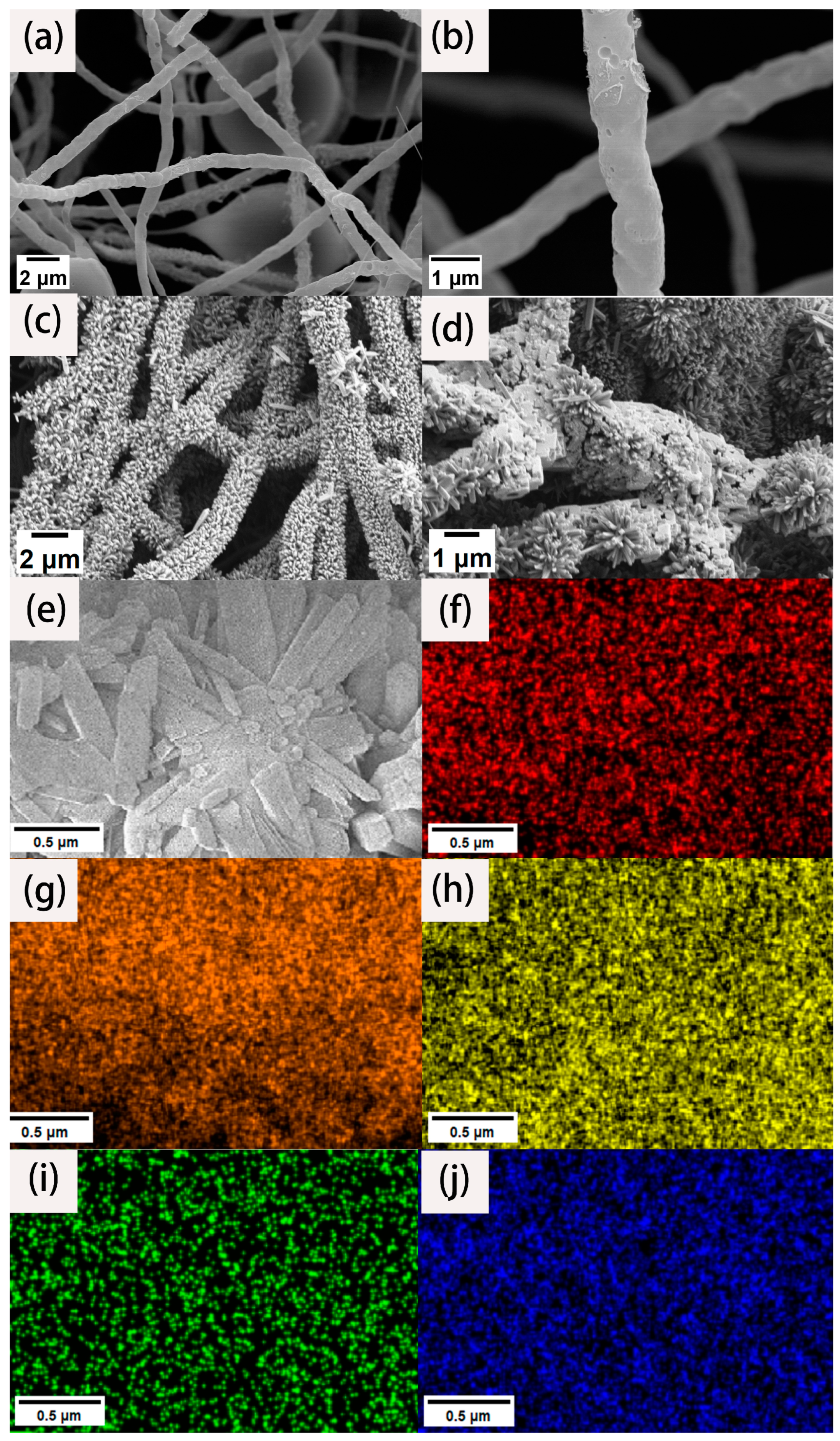 Molecules 29 06025 g001