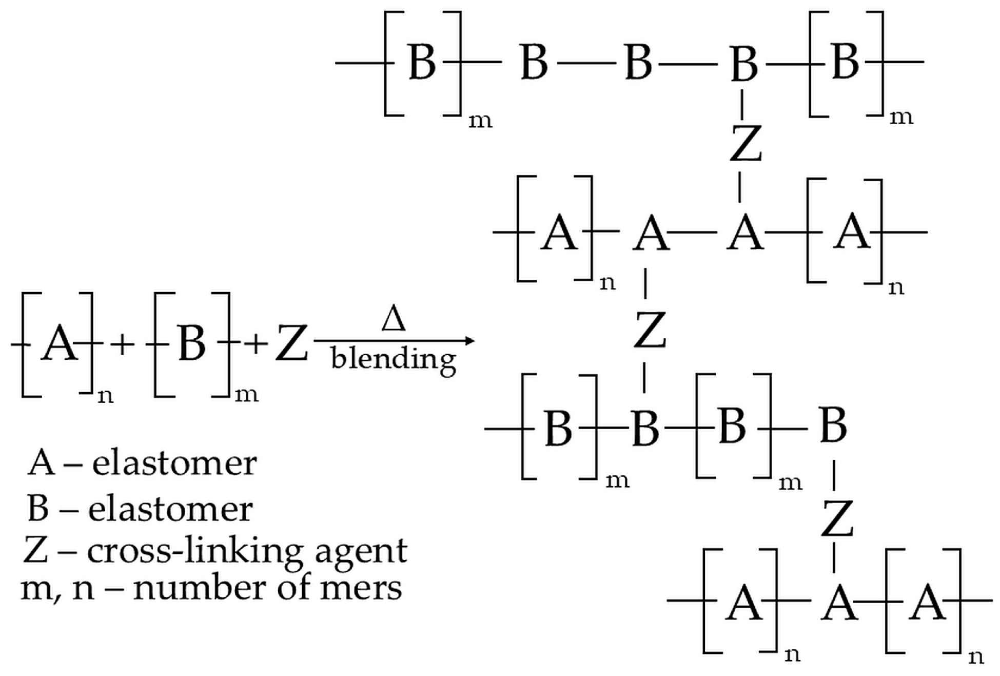 Molecules 29 06028 g001