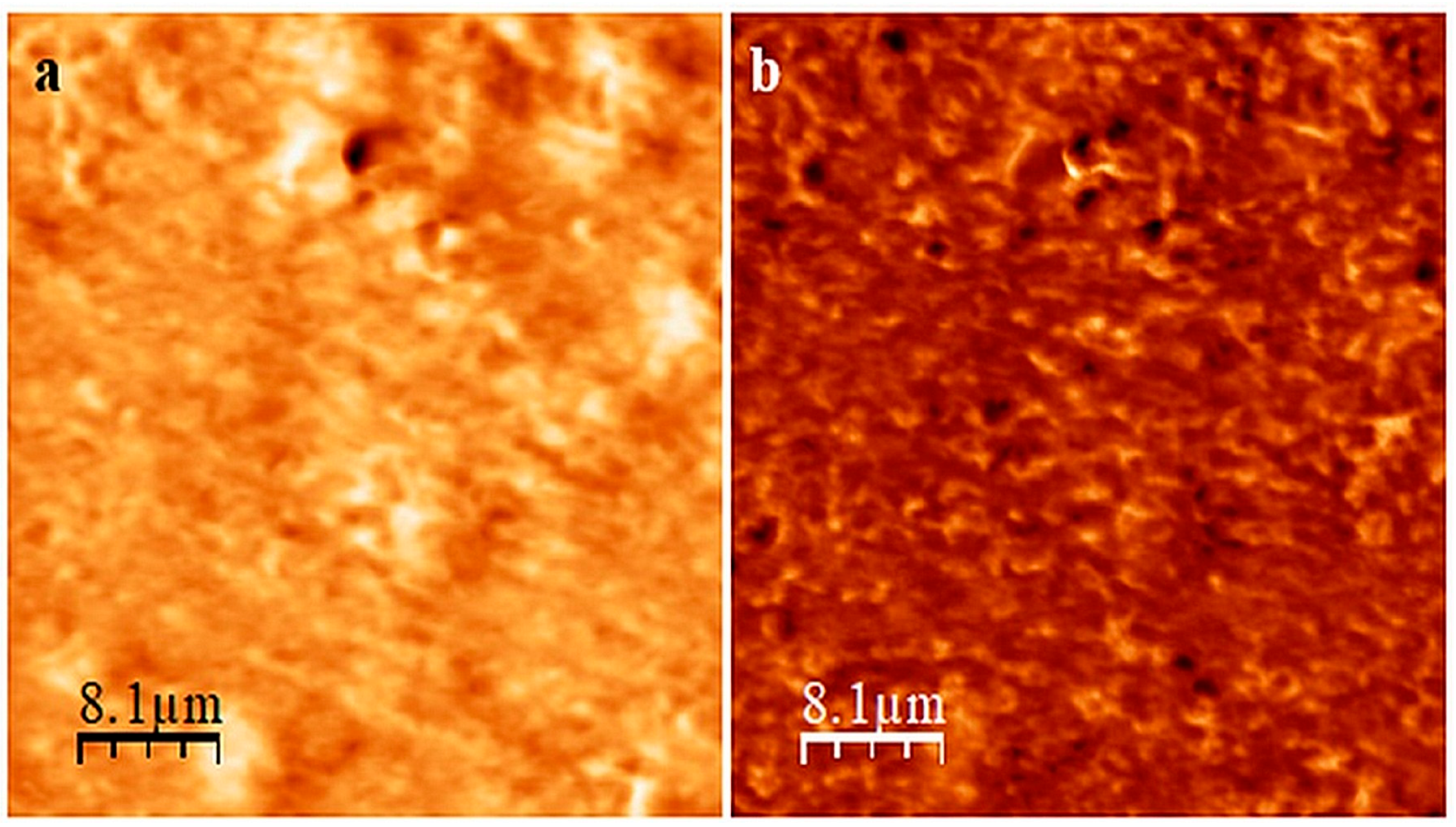 Molecules 29 06028 g006