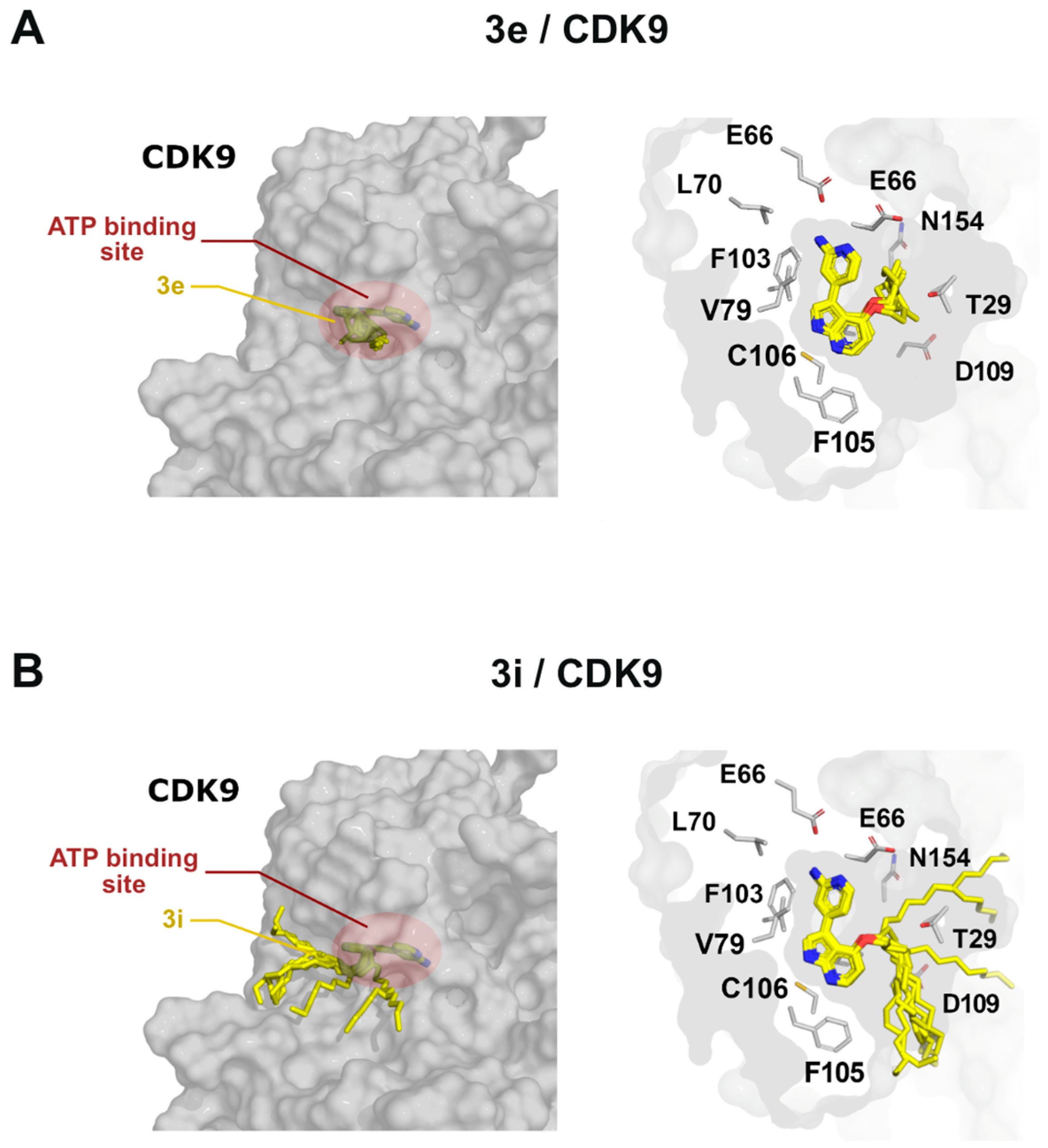 Molecules 29 06050 g005