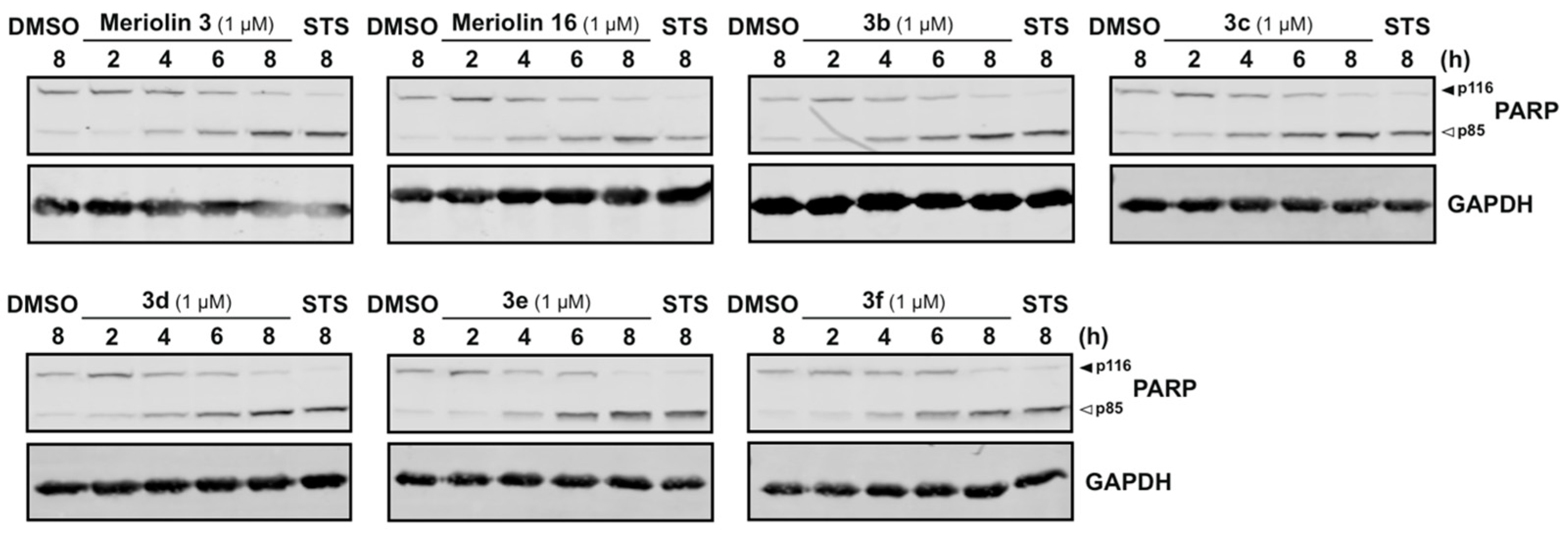 Molecules 29 06050 g009