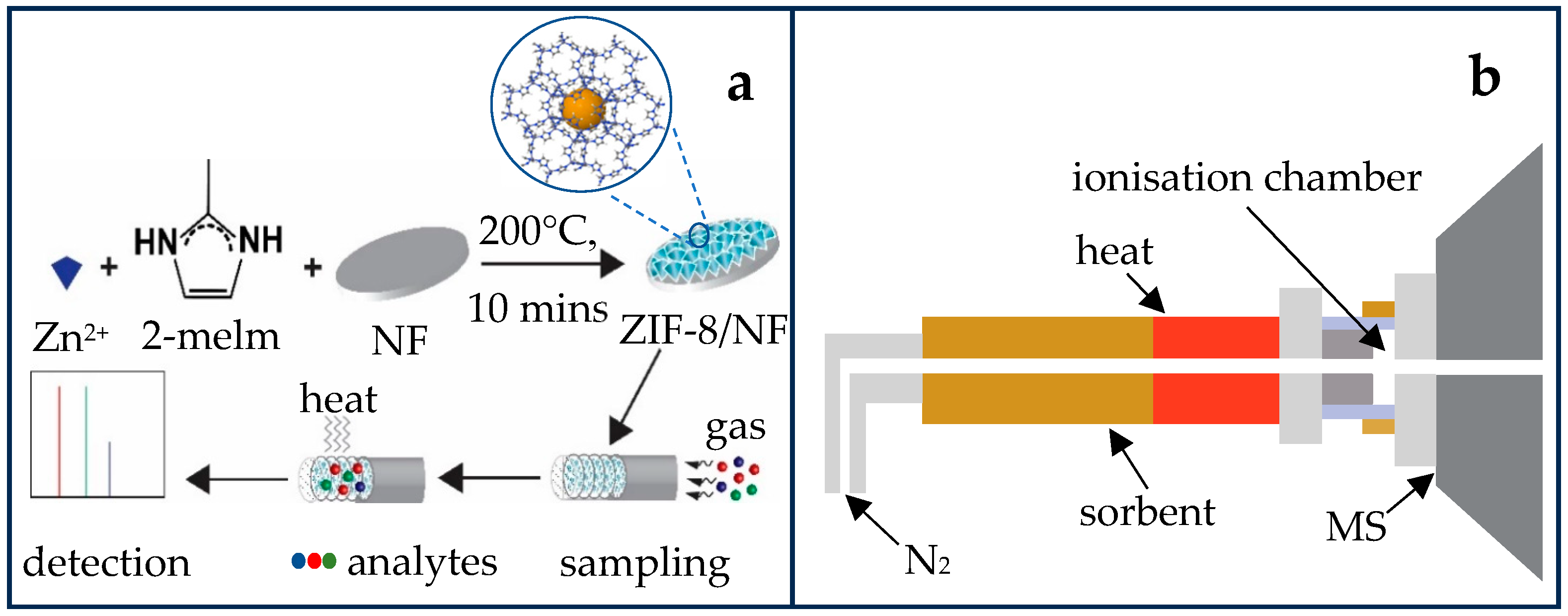 Molecules 29 06053 g001