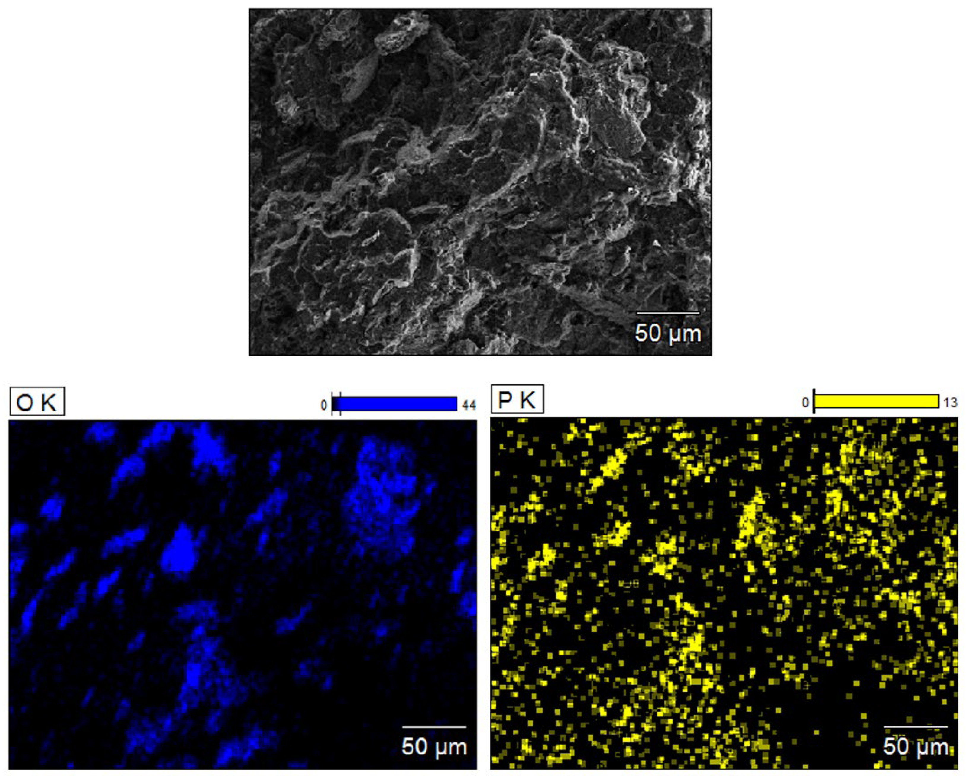 Molecules 29 06065 g005