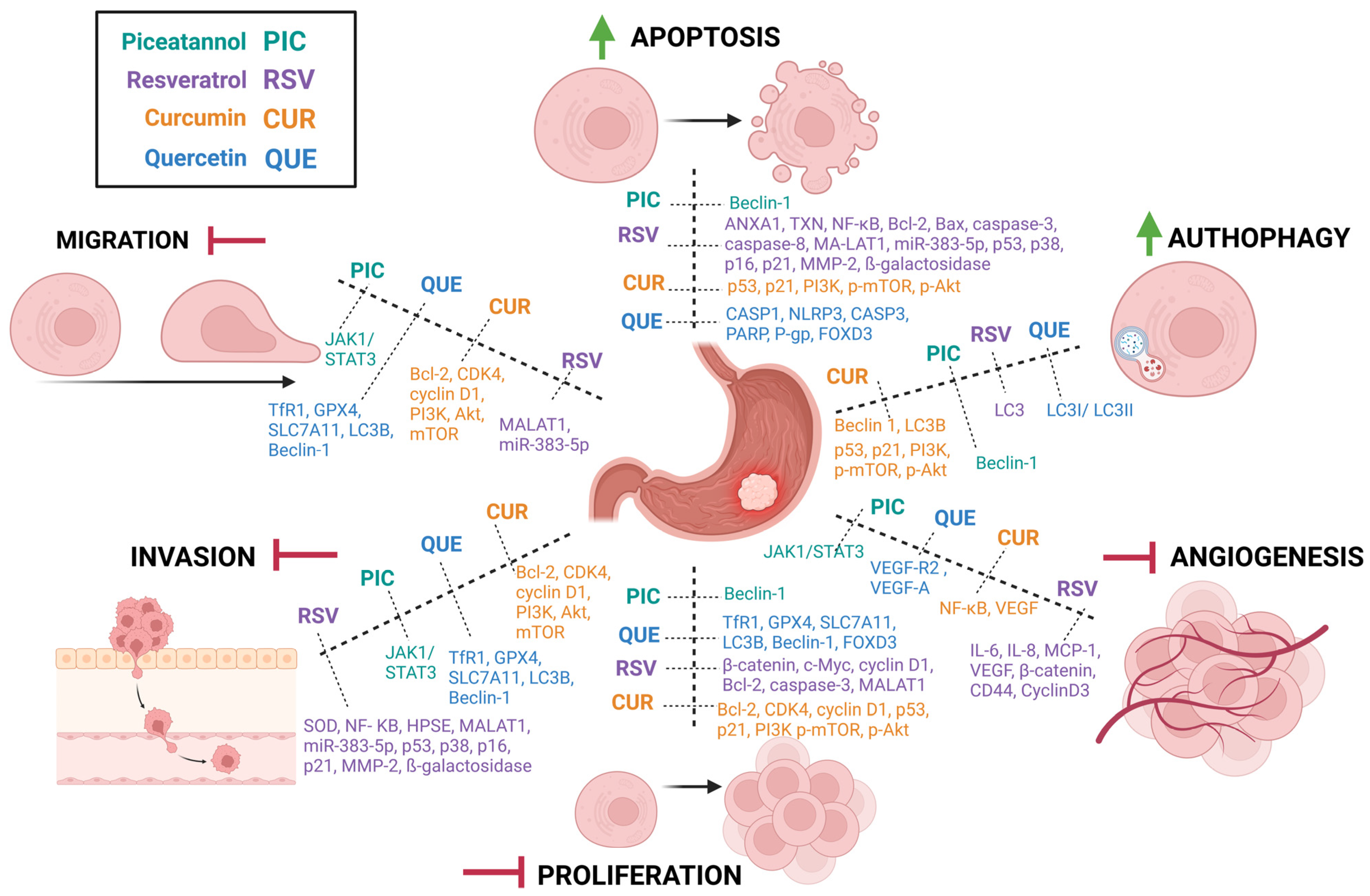 Molecules 30 00003 g005
