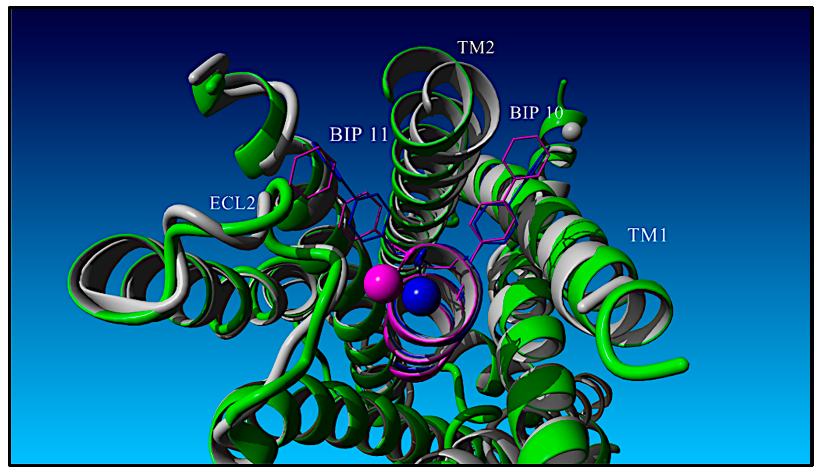 Molecules 30 00012 g006