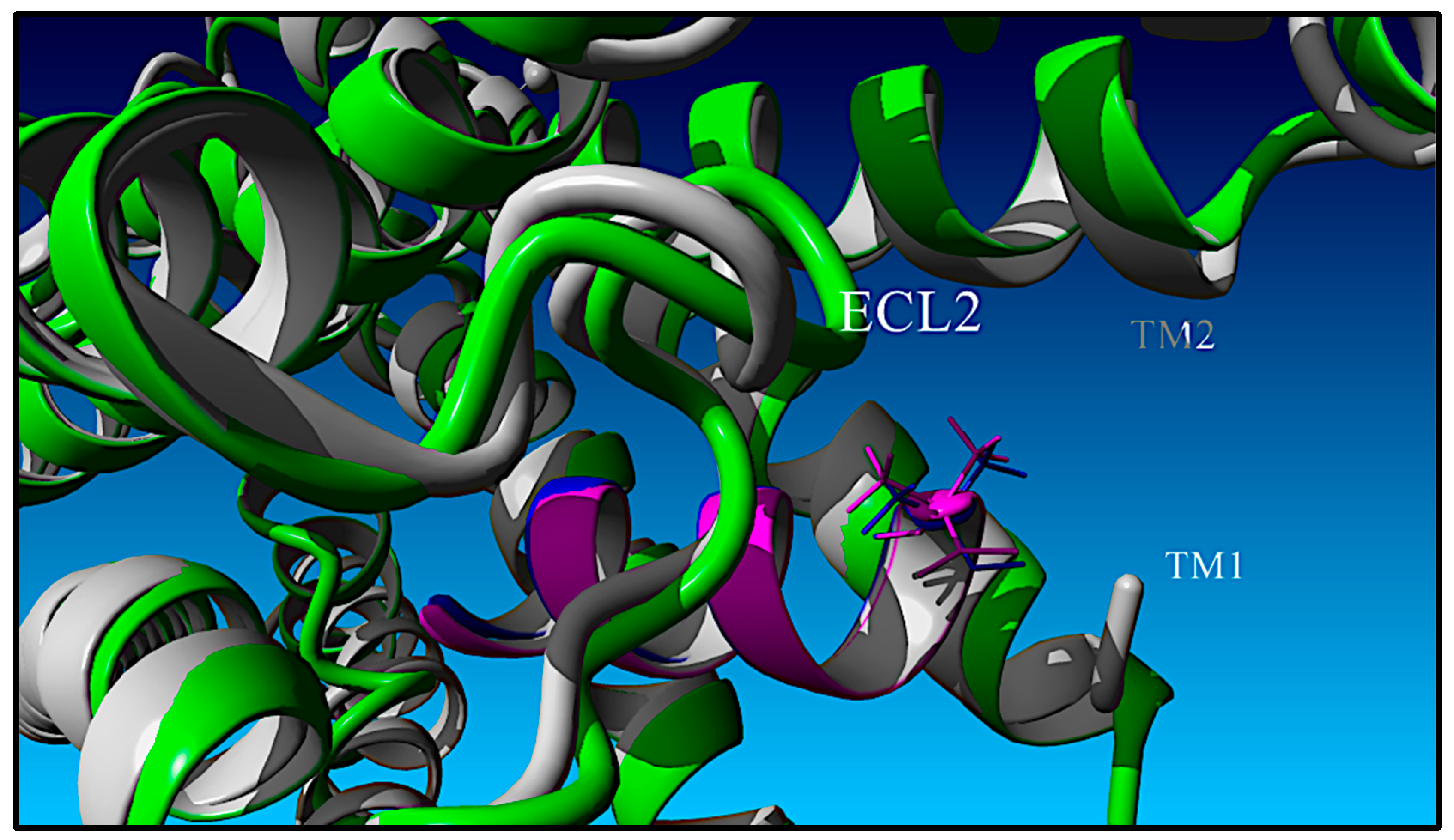 Molecules 30 00012 g007