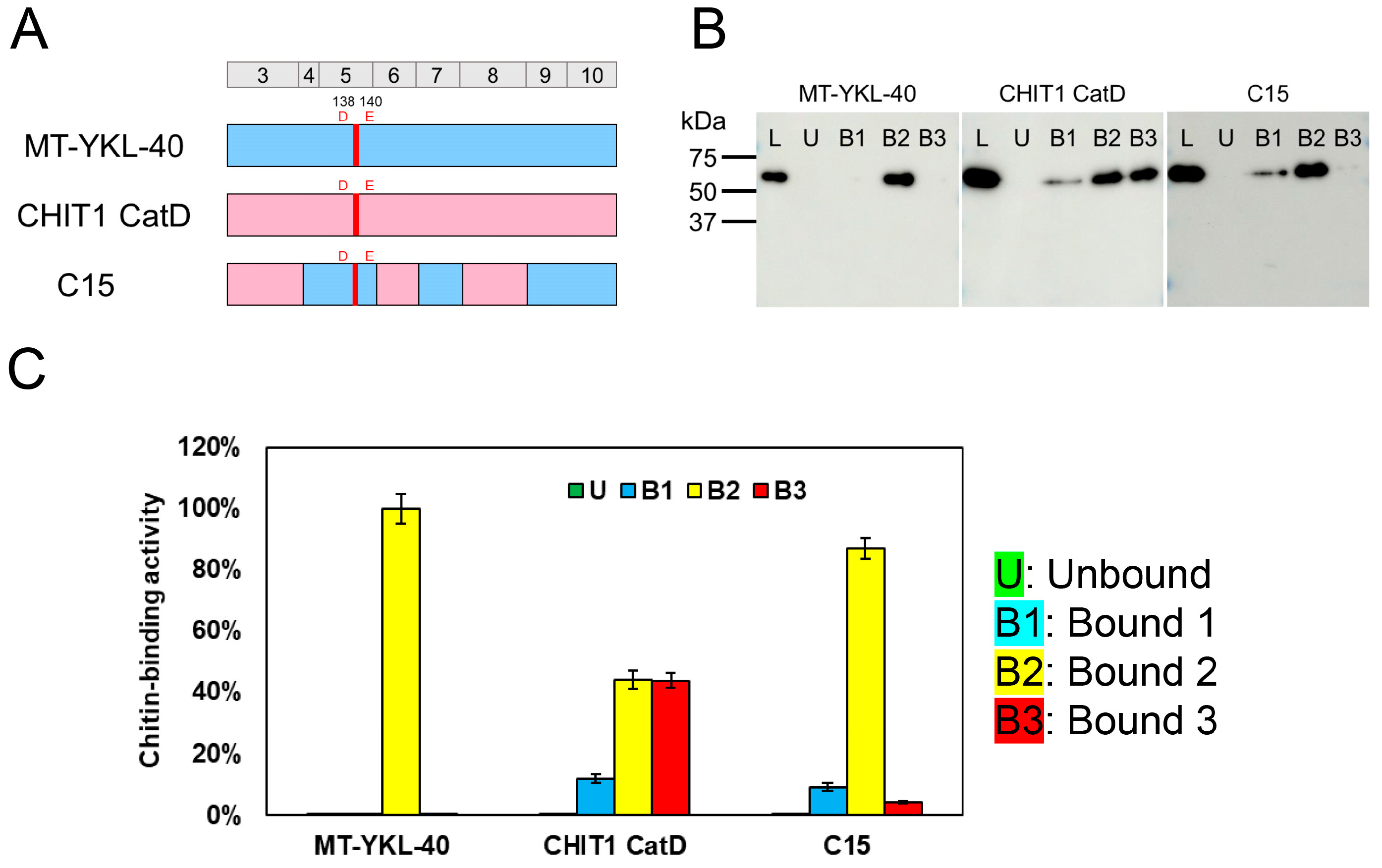 Molecules 30 00019 g002