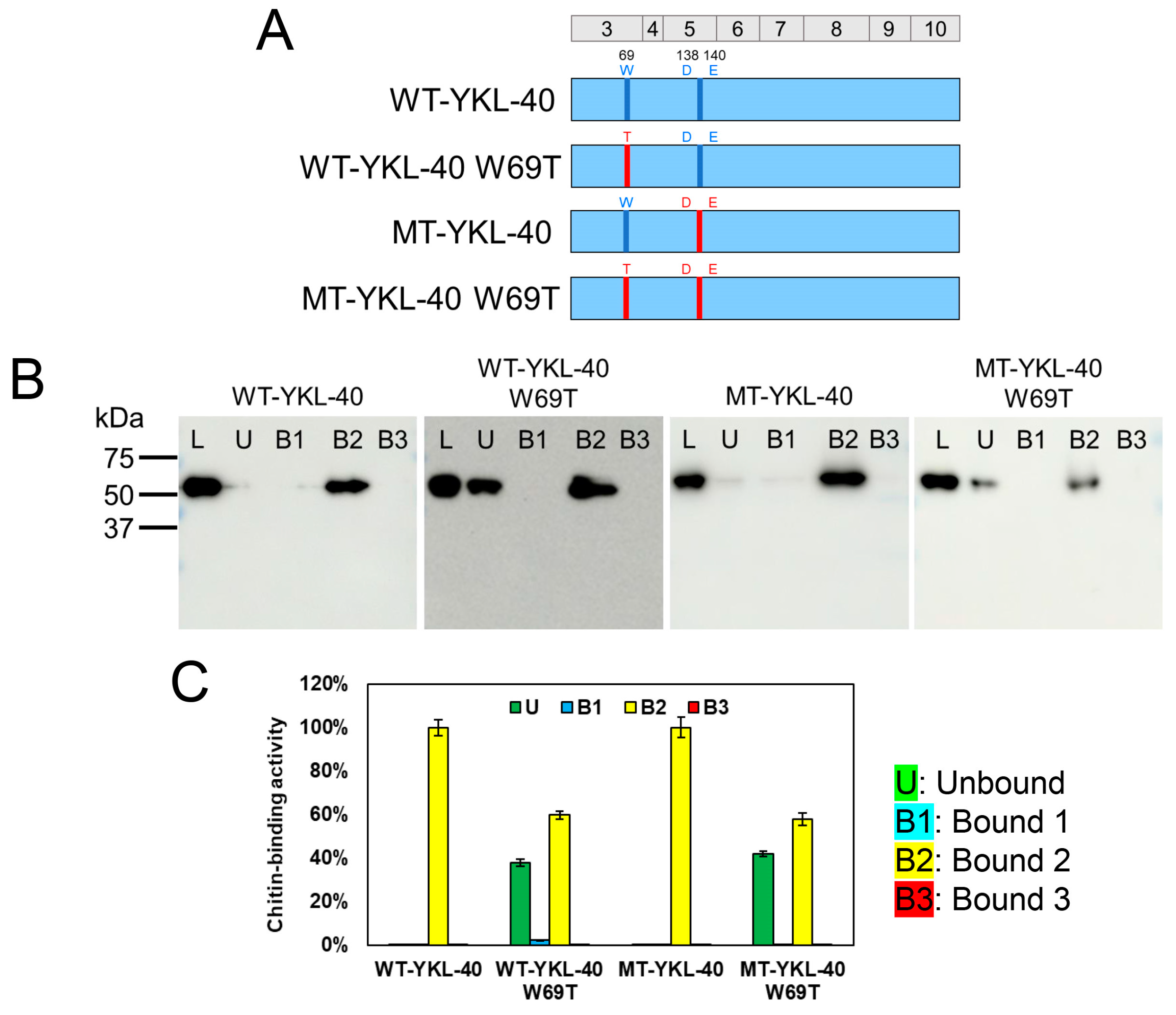 Molecules 30 00019 g004