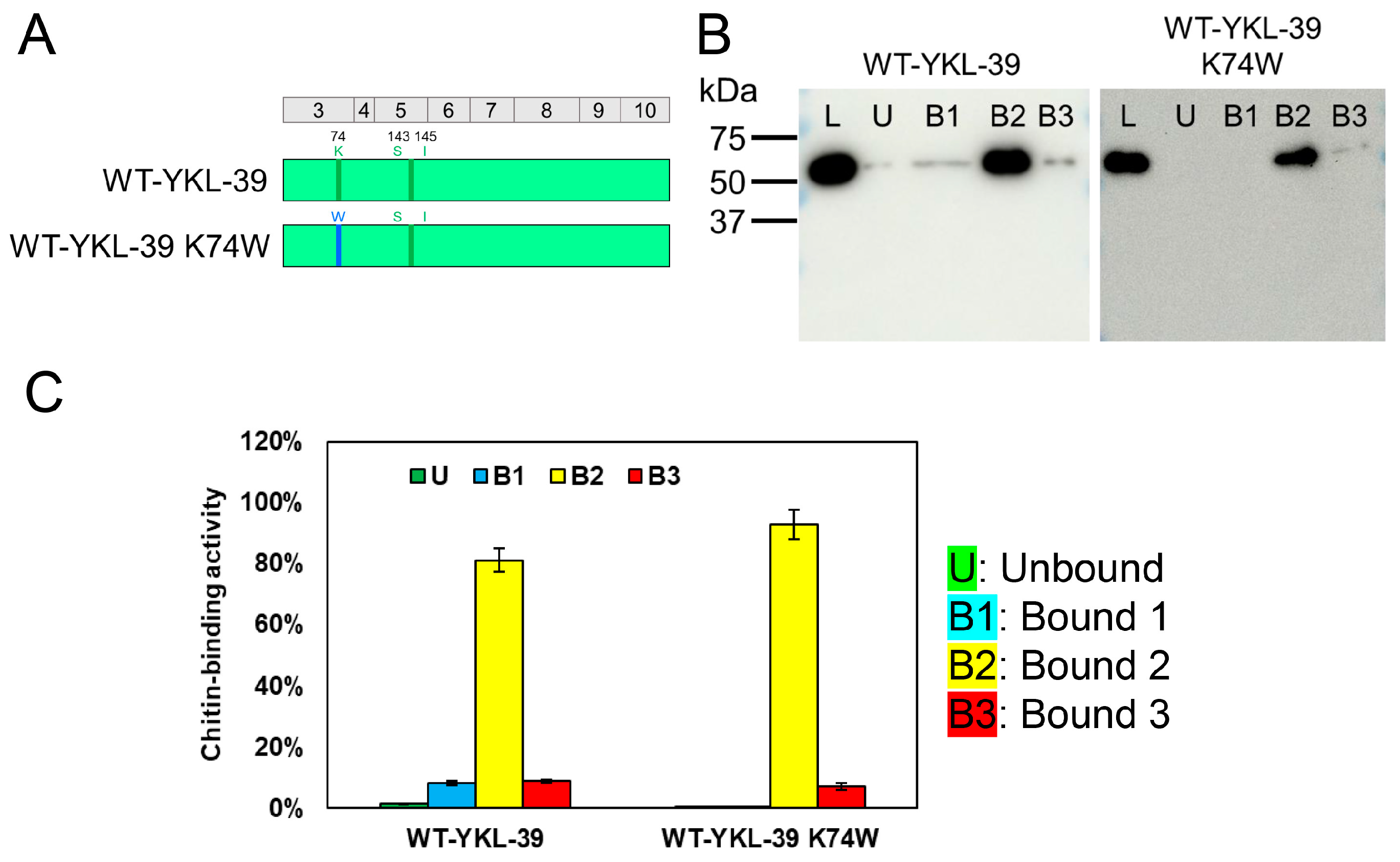 Molecules 30 00019 g005