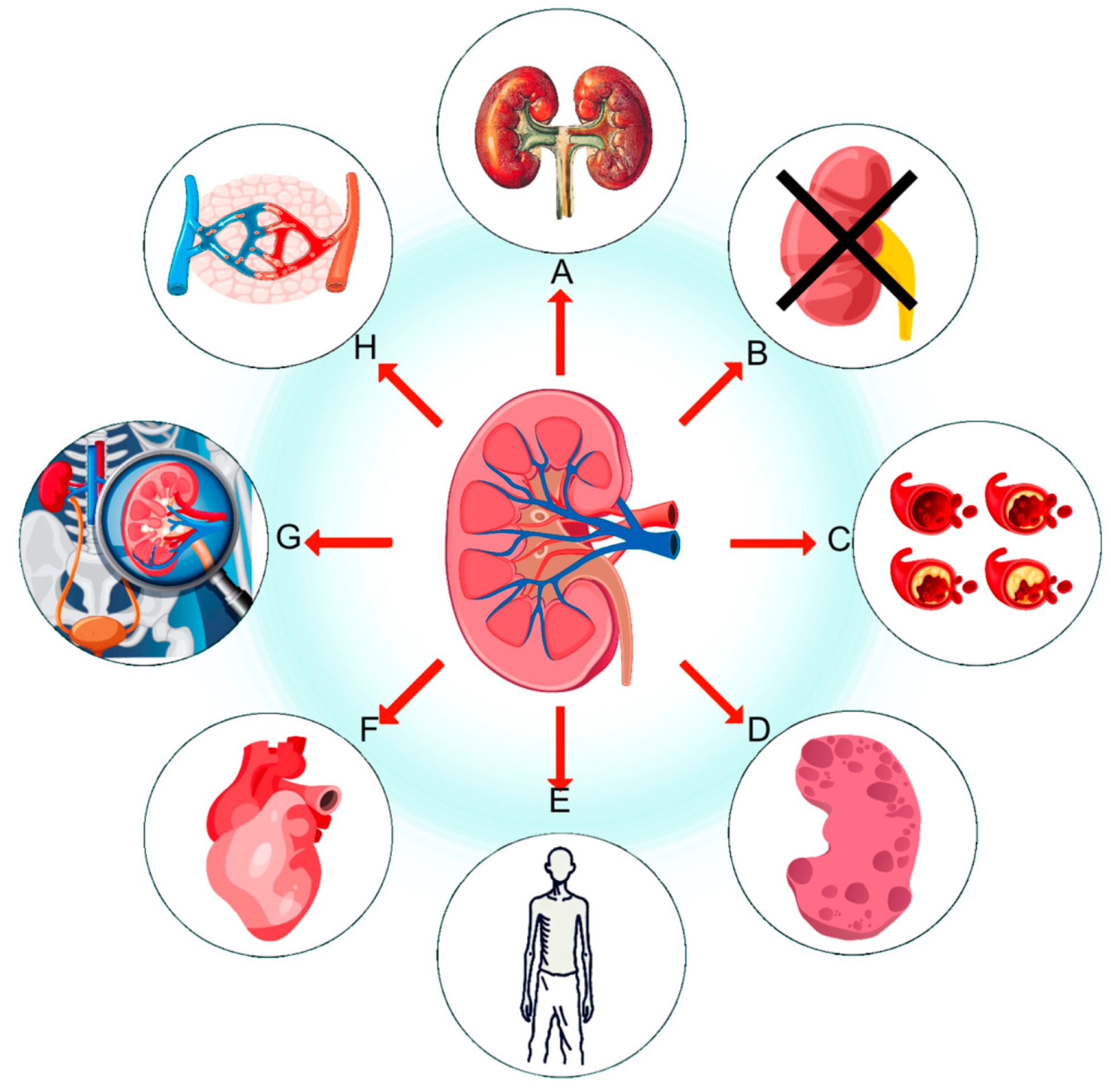 Molecules 30 00020 g001