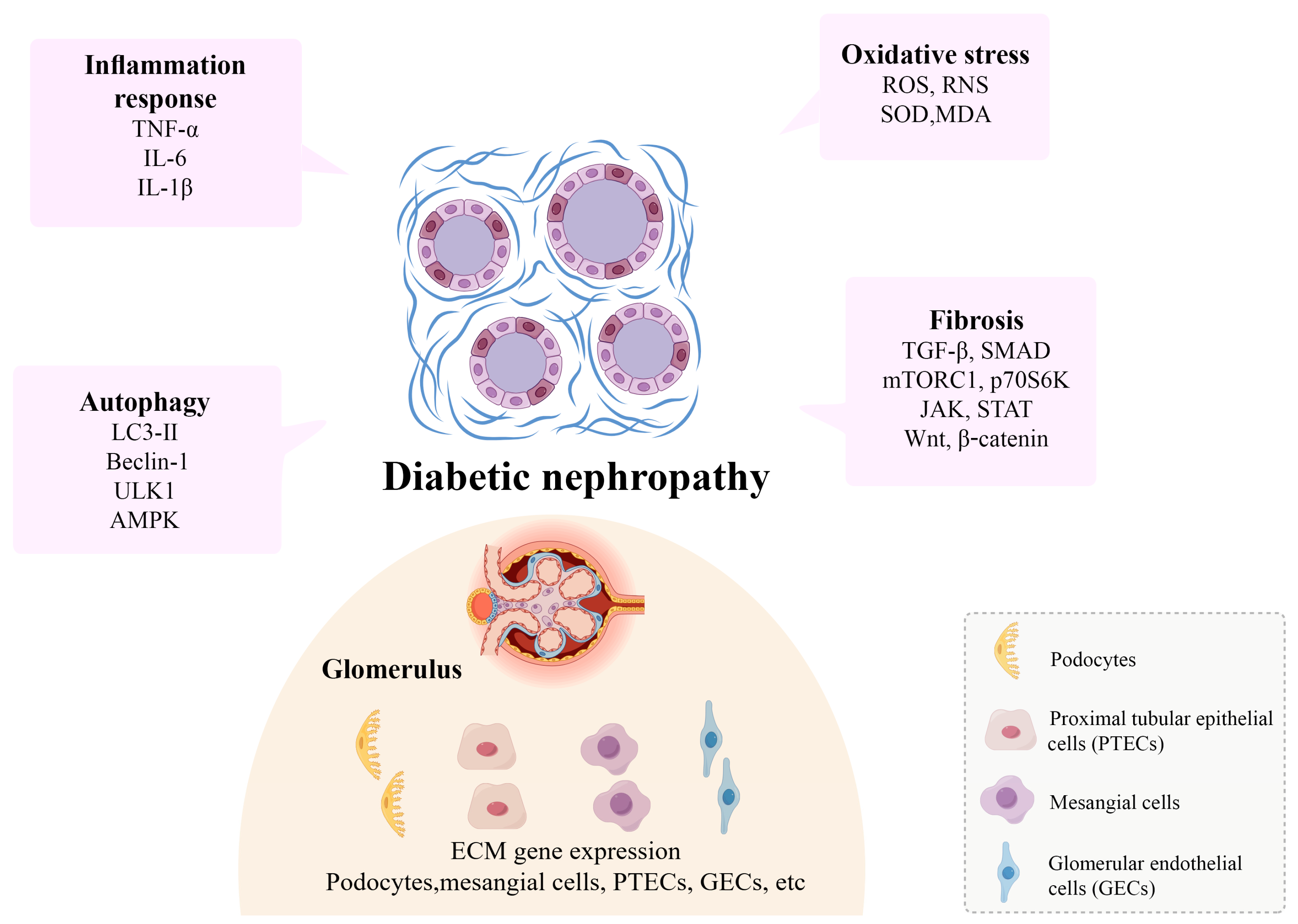 Molecules 30 00020 g003