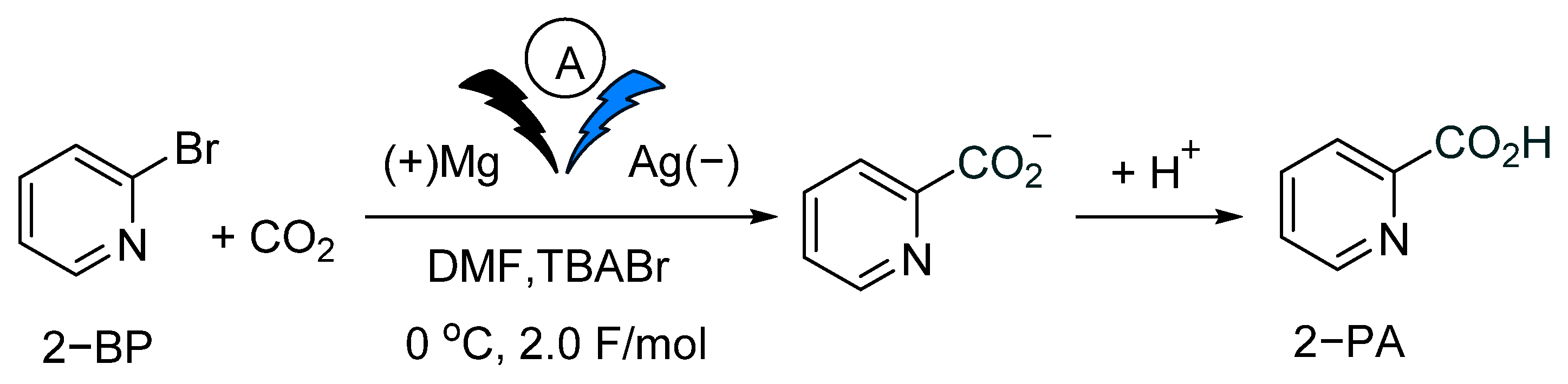 Molecules 30 00040 sch001