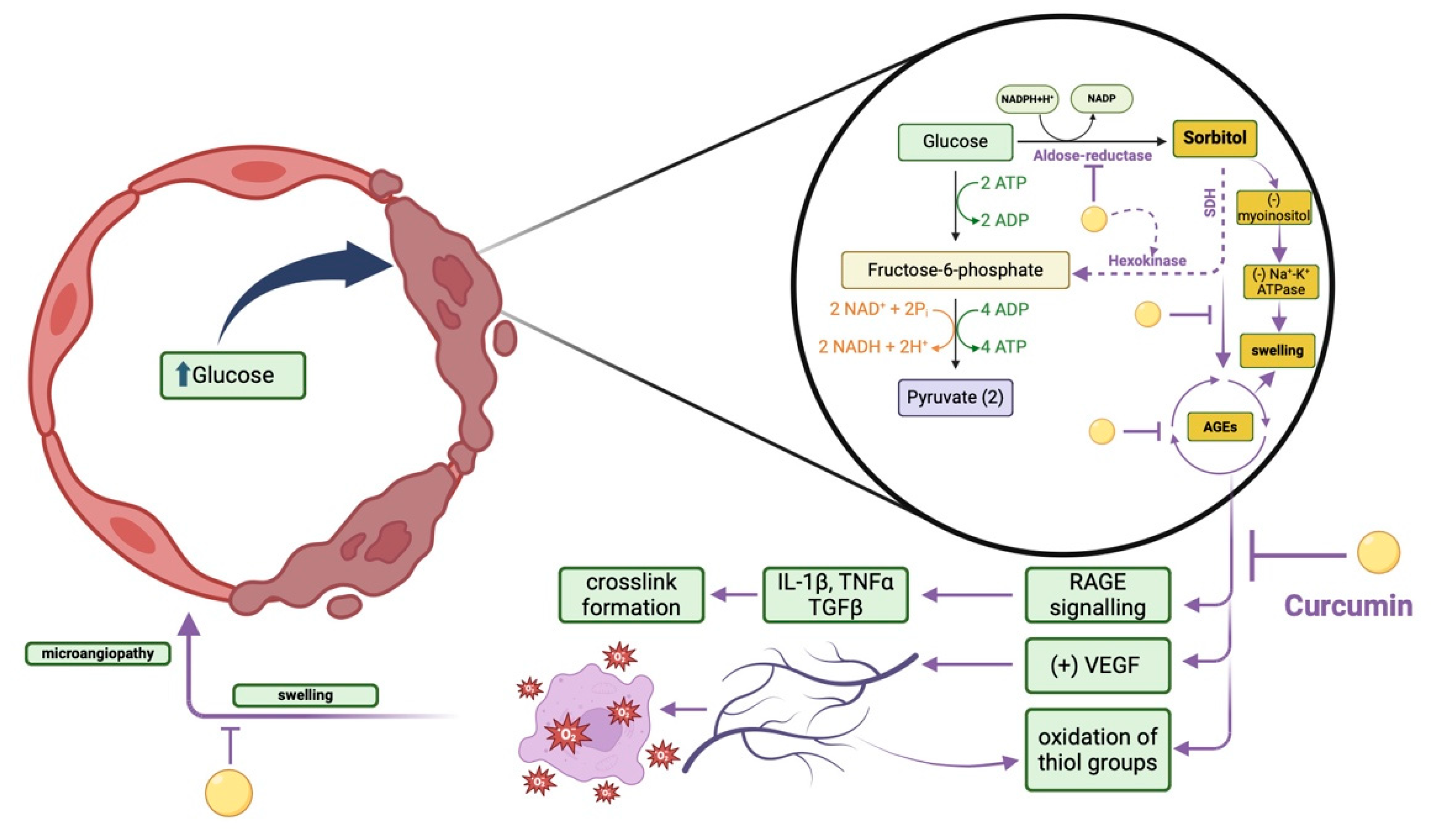 Molecules 30 00043 g003
