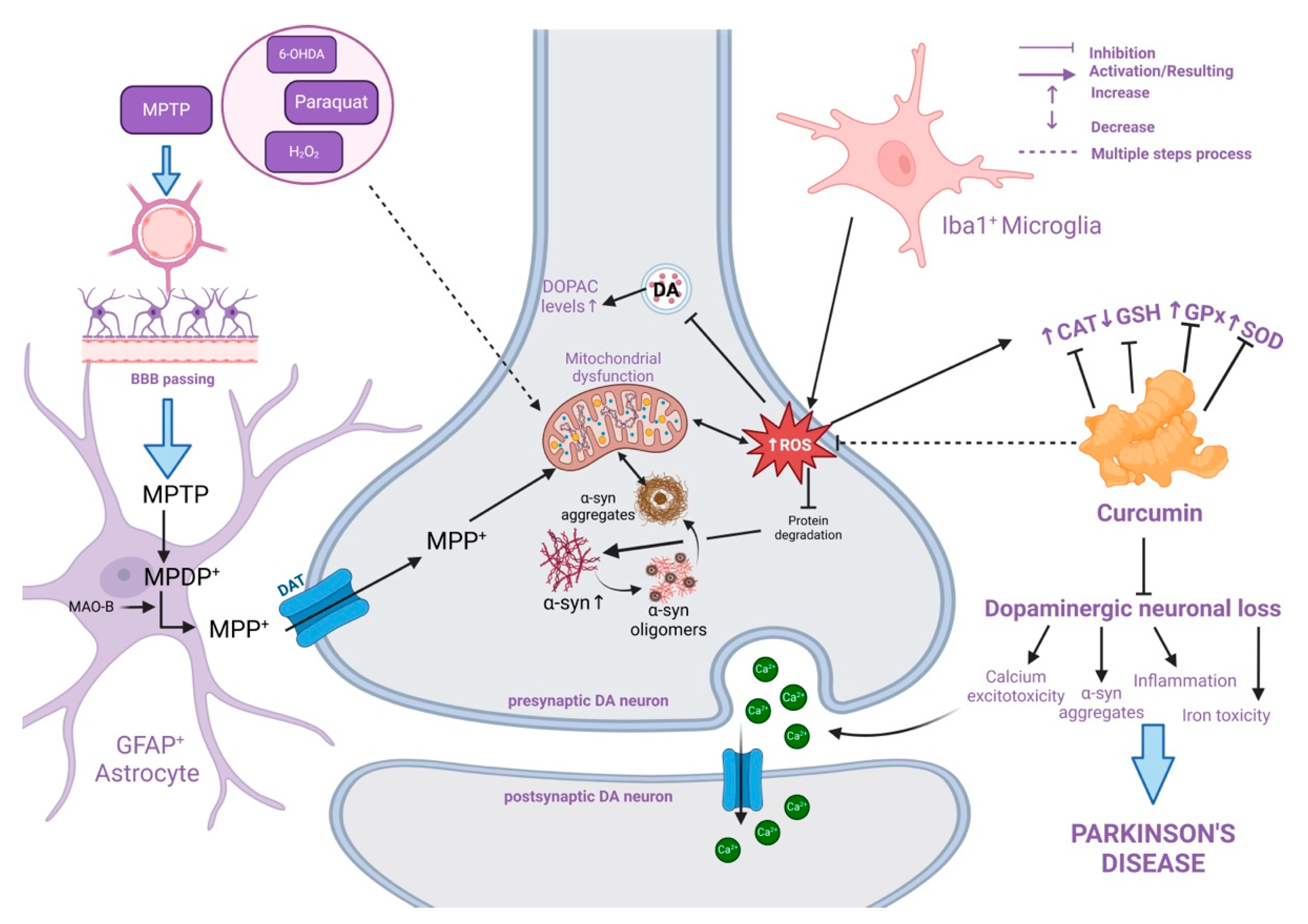 Molecules 30 00043 g004