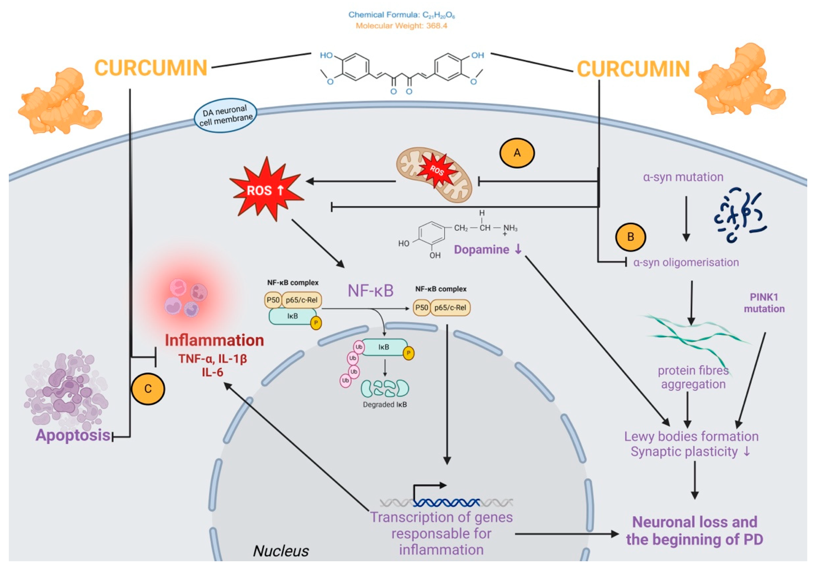 Molecules 30 00043 g005