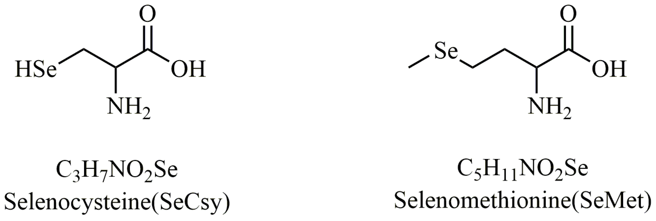 Molecules 30 00050 g001