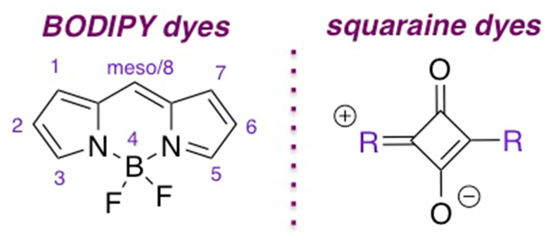 Molecules 30 00116 g001