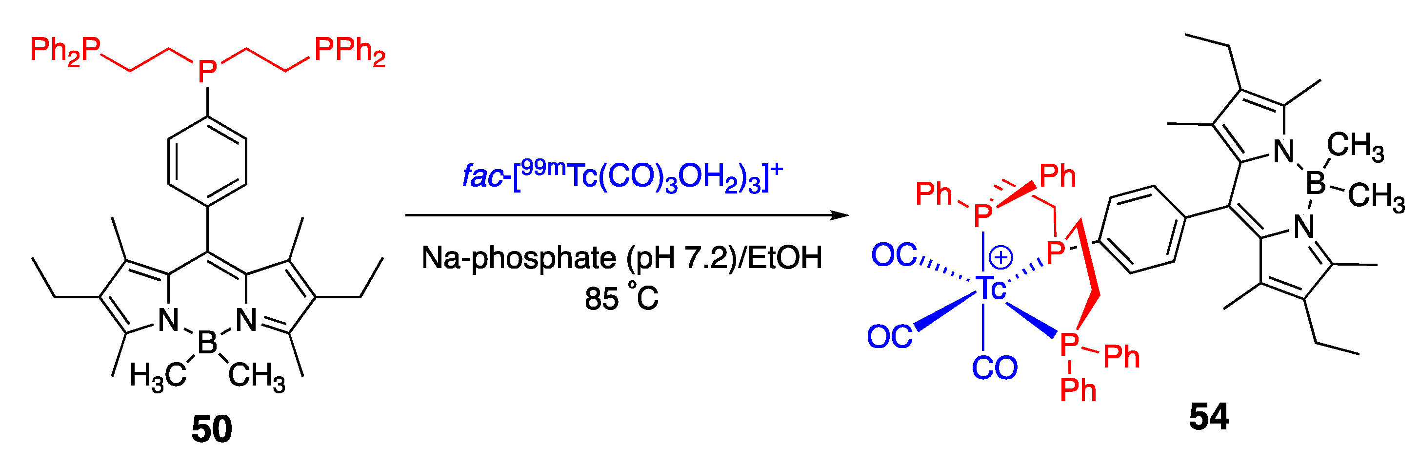 Molecules 30 00116 sch017