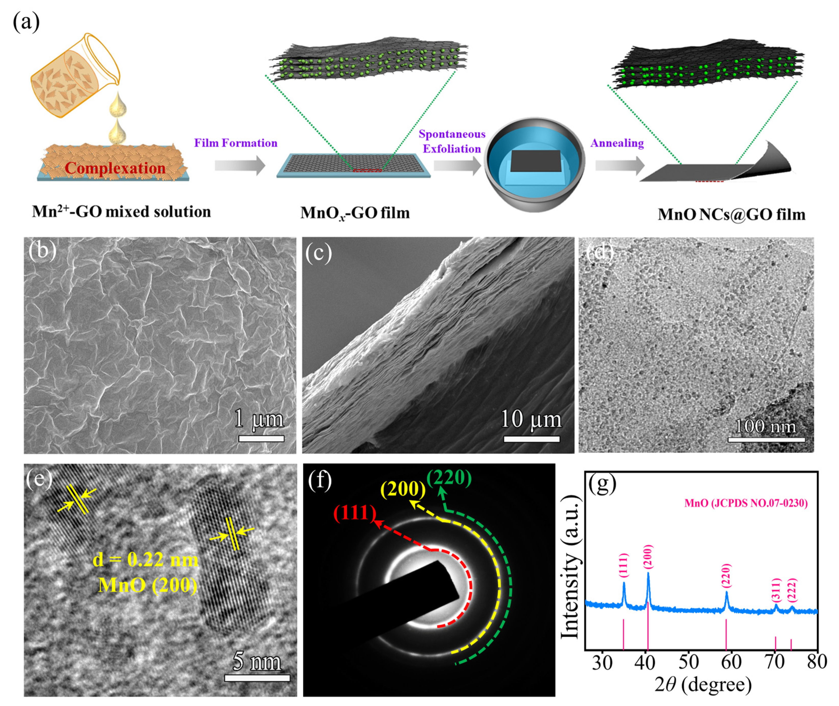 Molecules 30 00133 g001