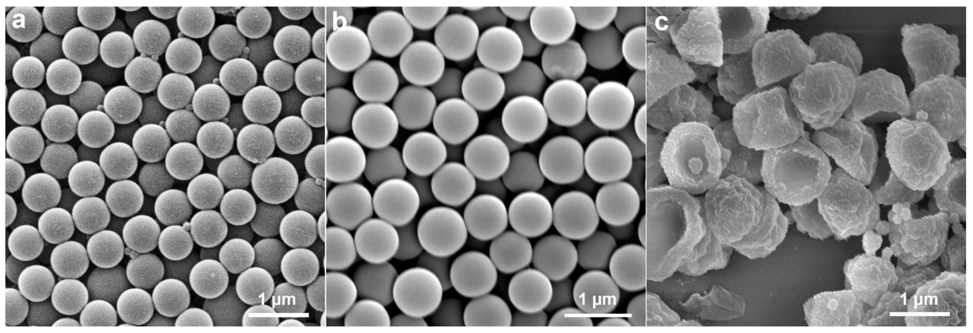 Molecules 30 00166 g005