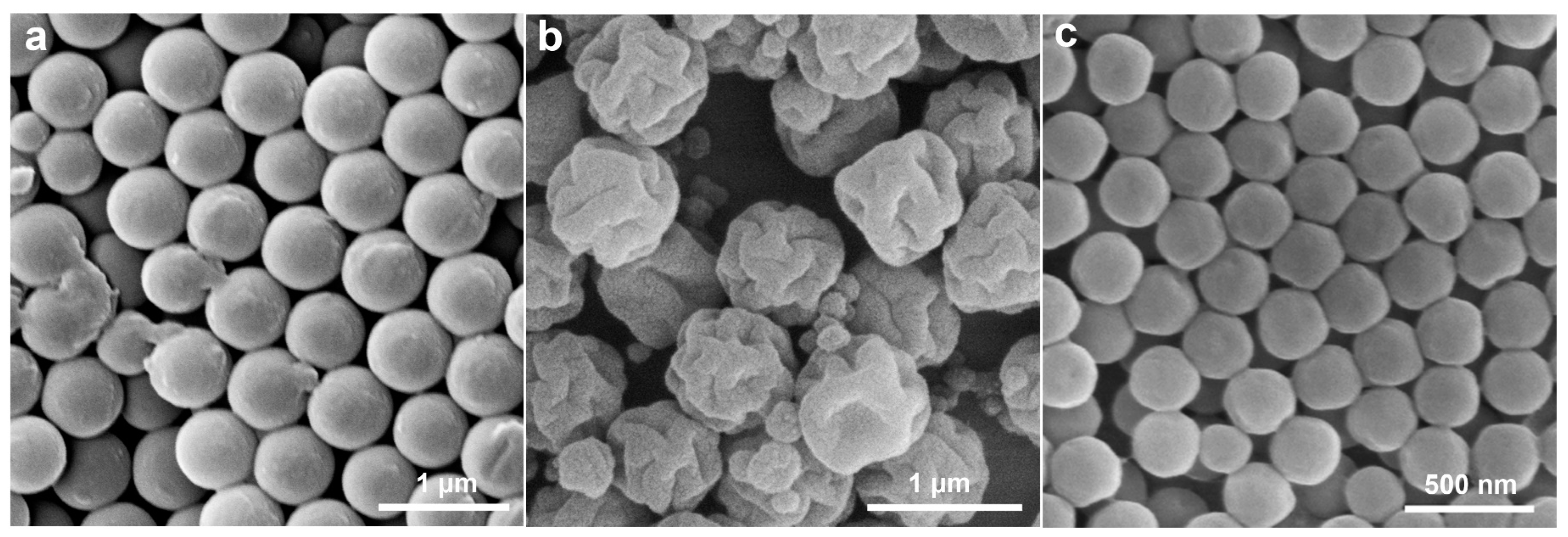Molecules 30 00166 g006