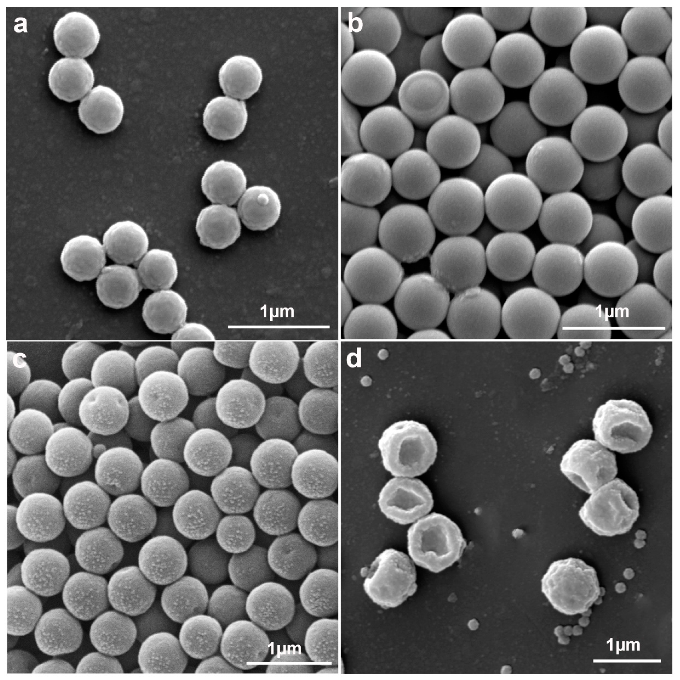 Molecules 30 00166 g007