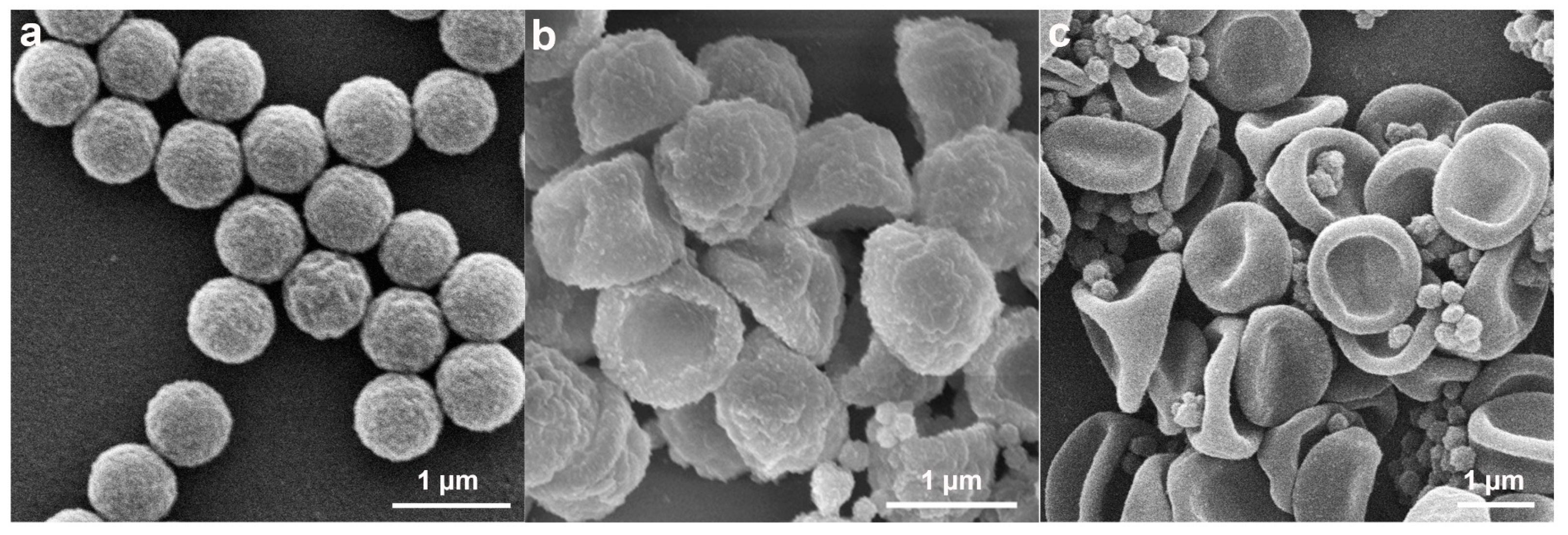 Molecules 30 00166 g008
