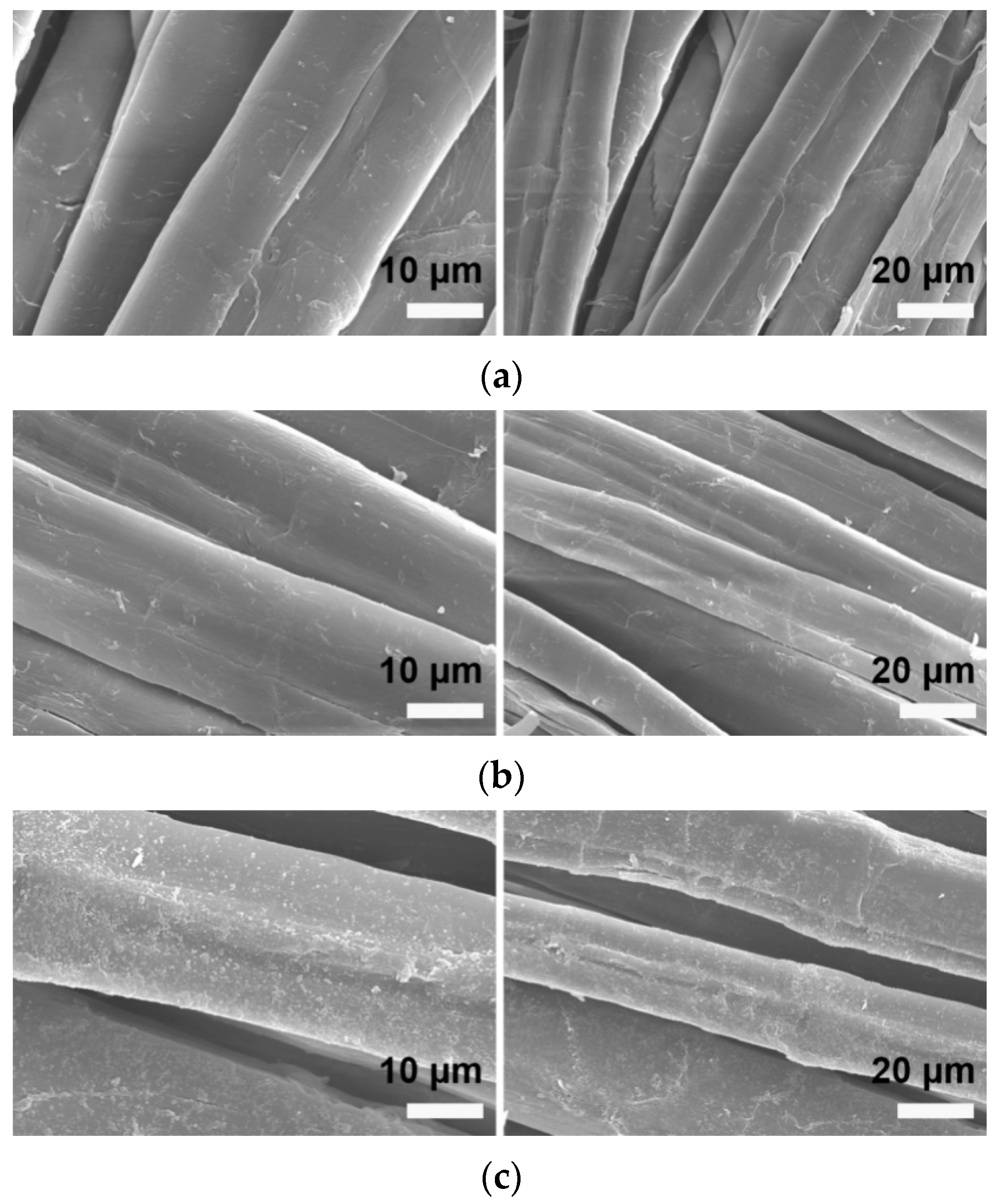 Molecules 30 00176 g009