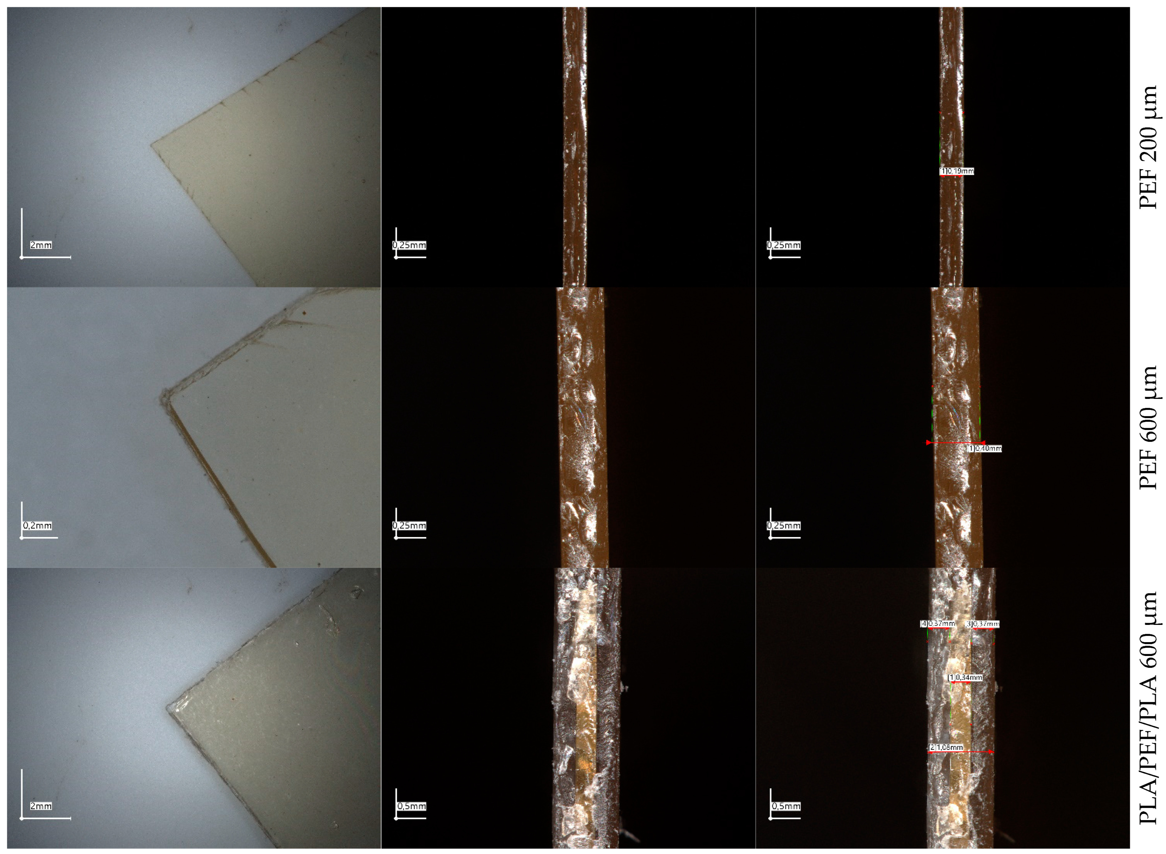 Molecules 30 00178 g002b