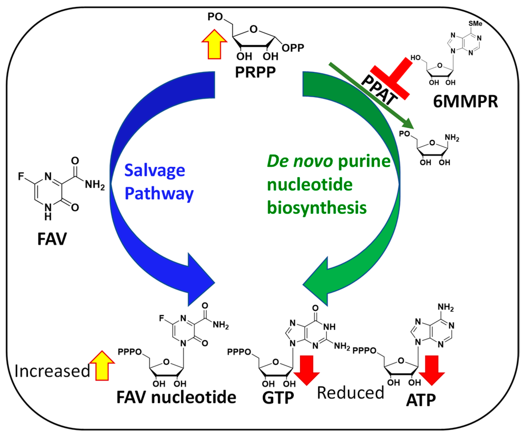 Molecules 30 00210 g002