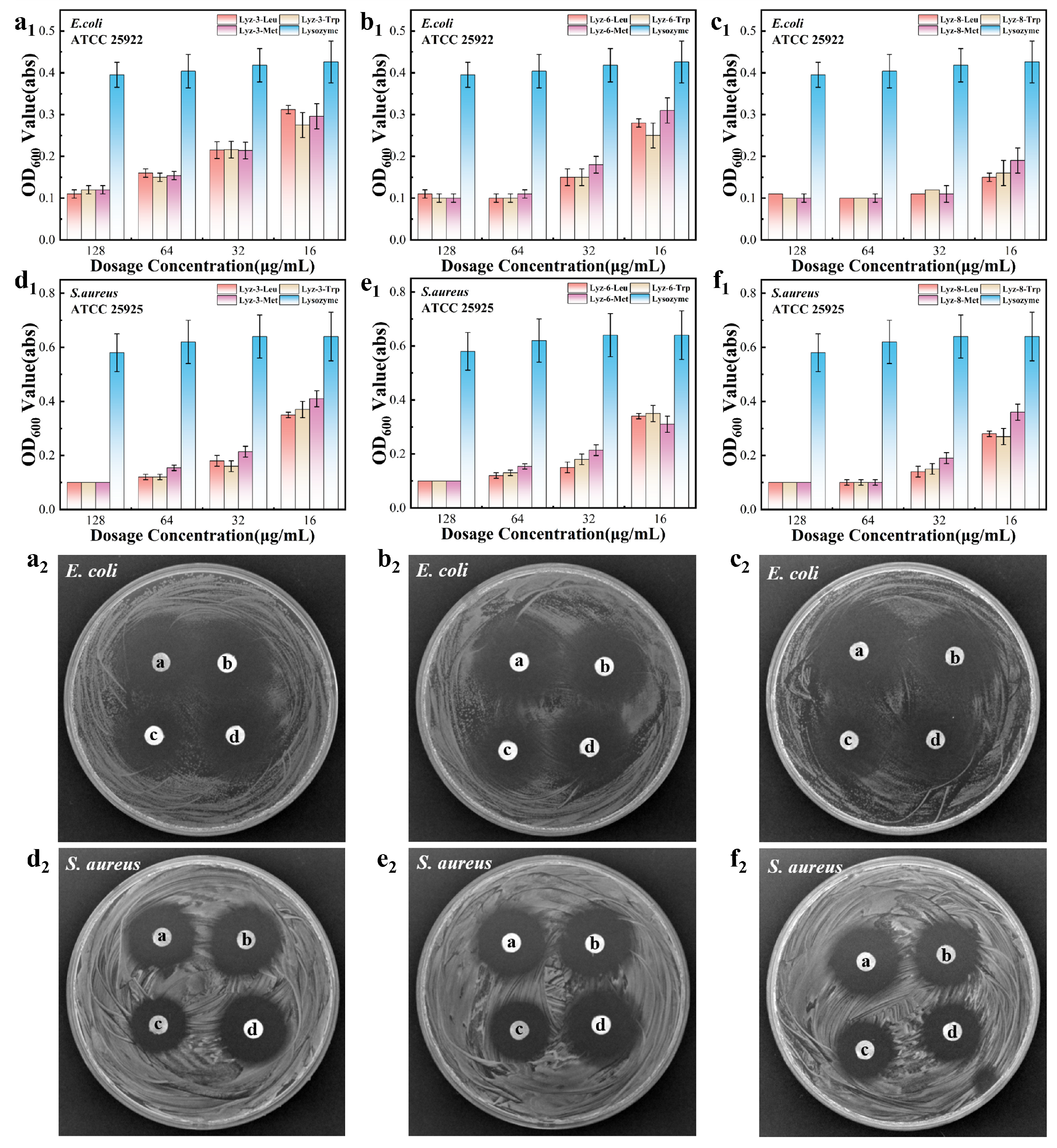 Molecules 30 00232 g004