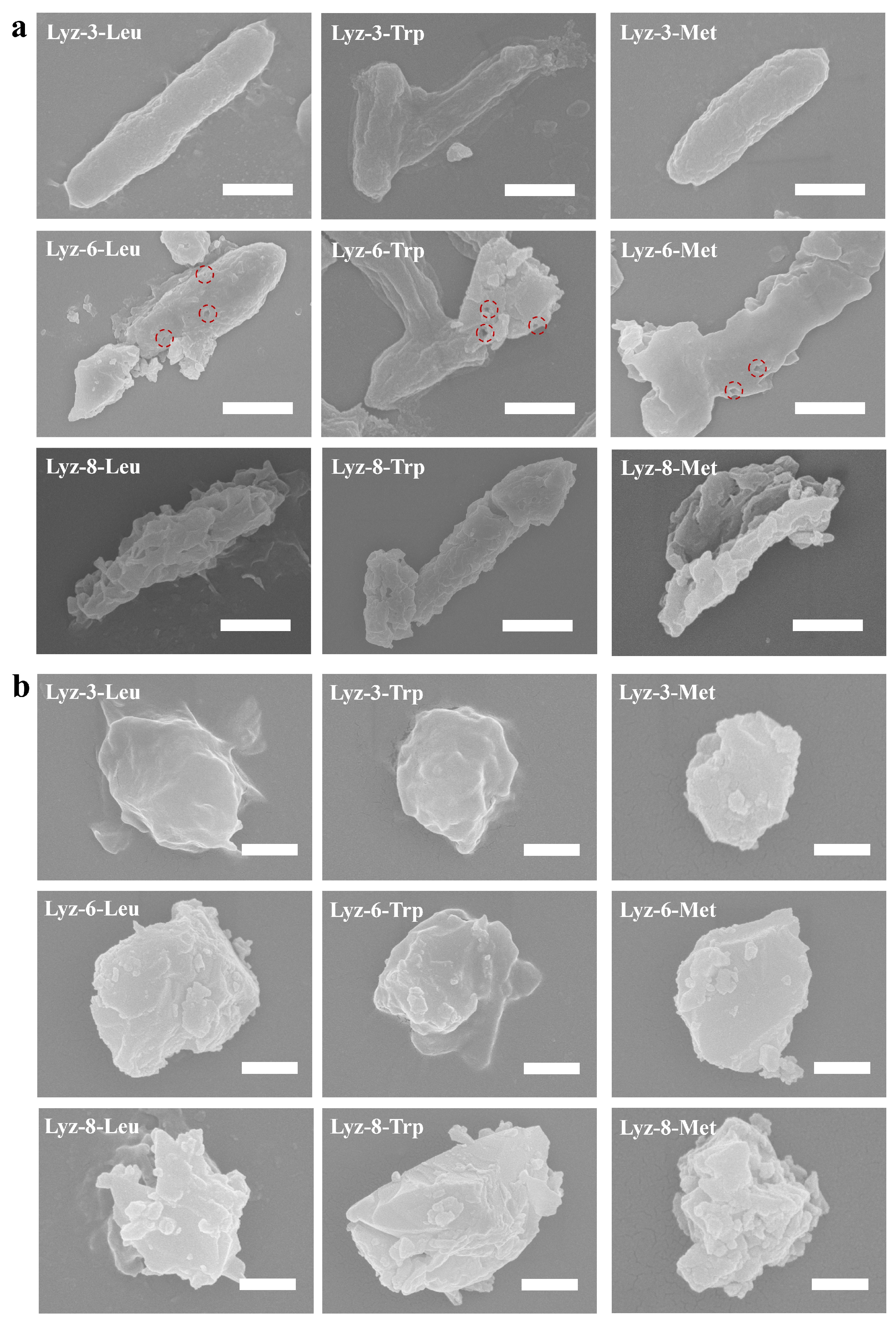 Molecules 30 00232 g005