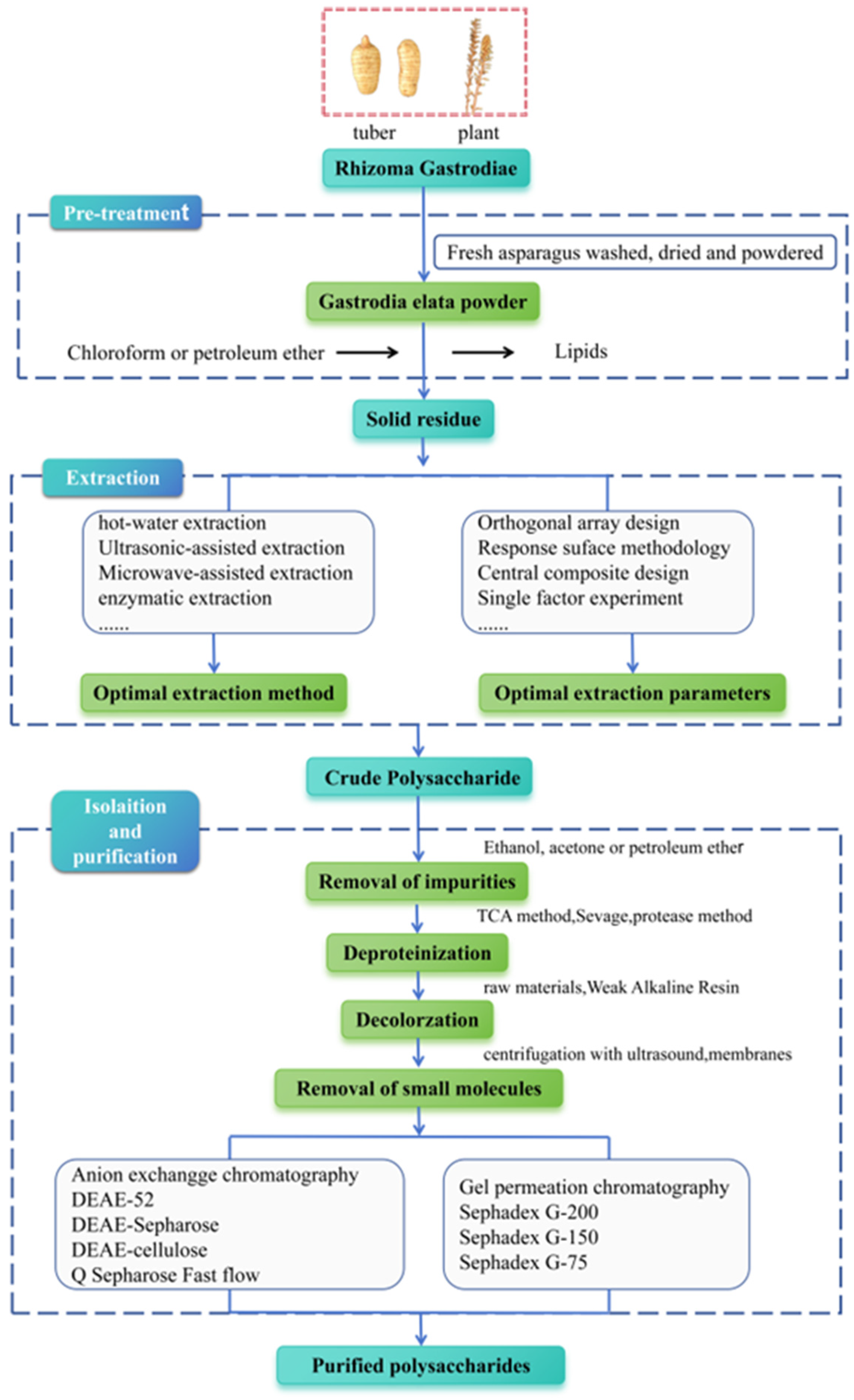 Molecules 30 00262 g002