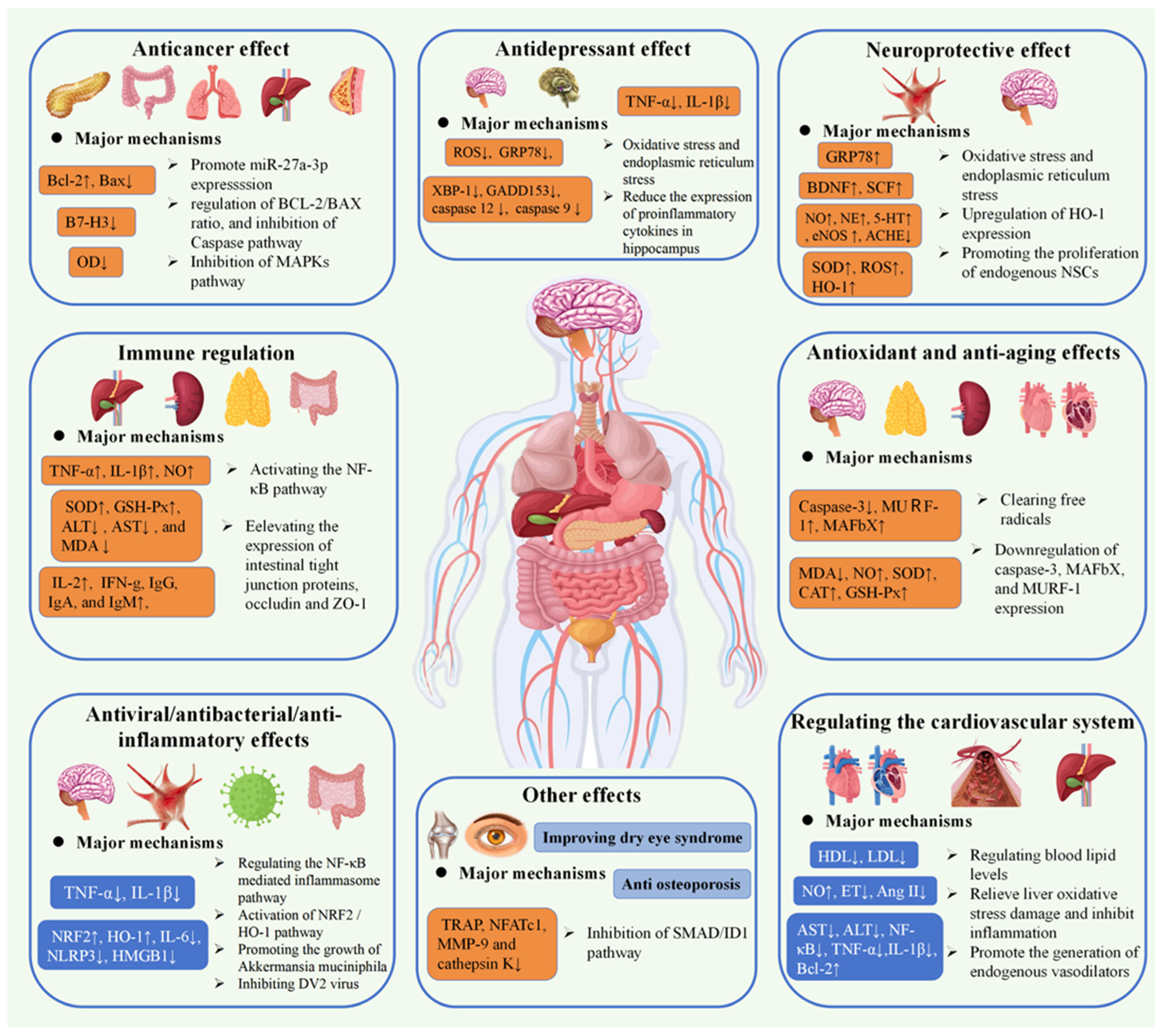 Molecules 30 00262 g004