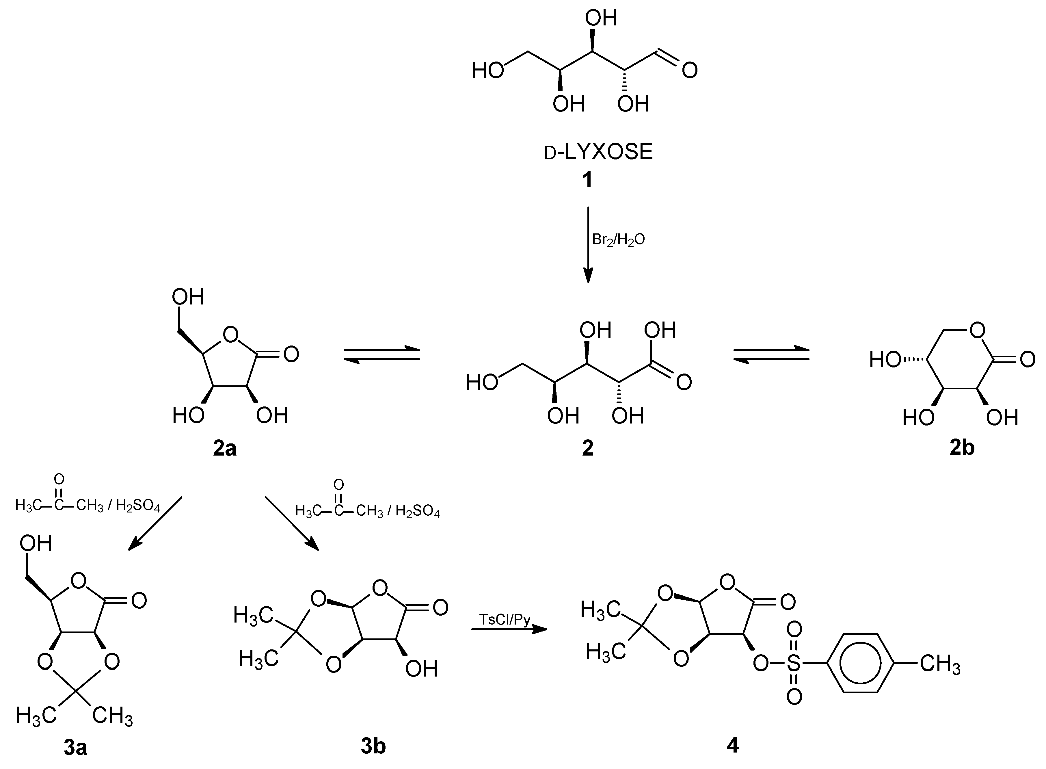 Molecules 30 00287 sch001
