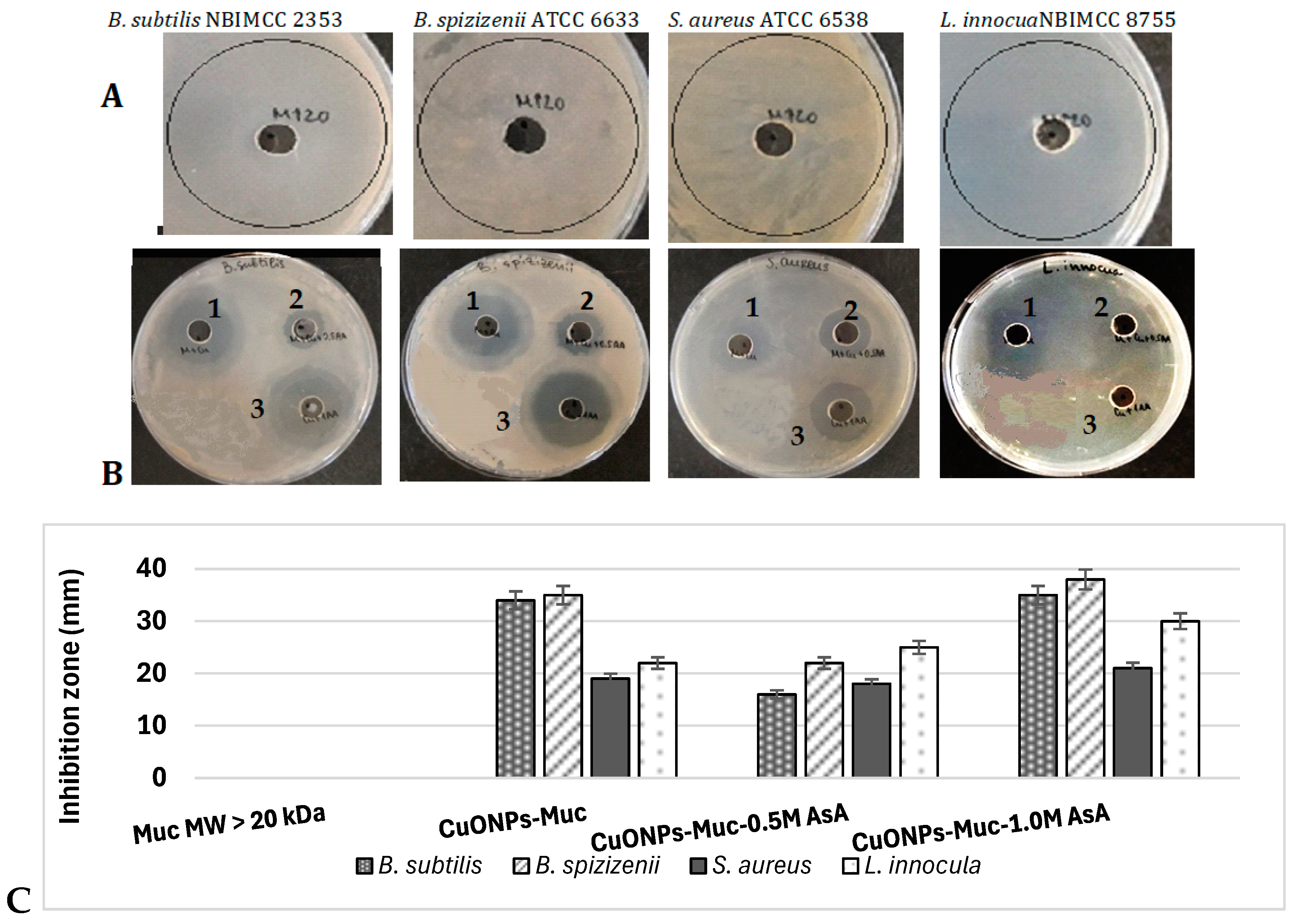 Molecules 30 00291 g009