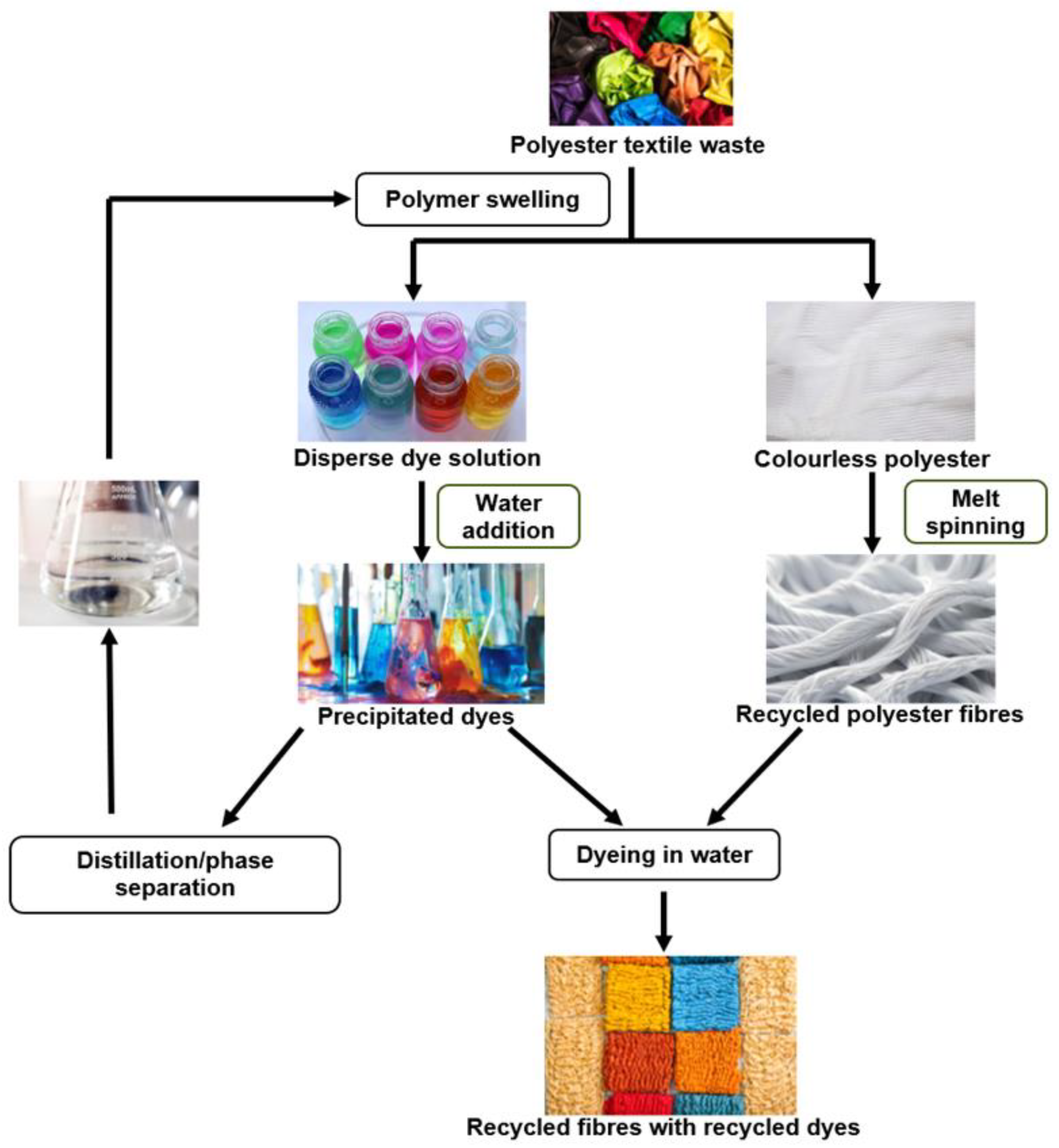 Molecules 30 00299 g004