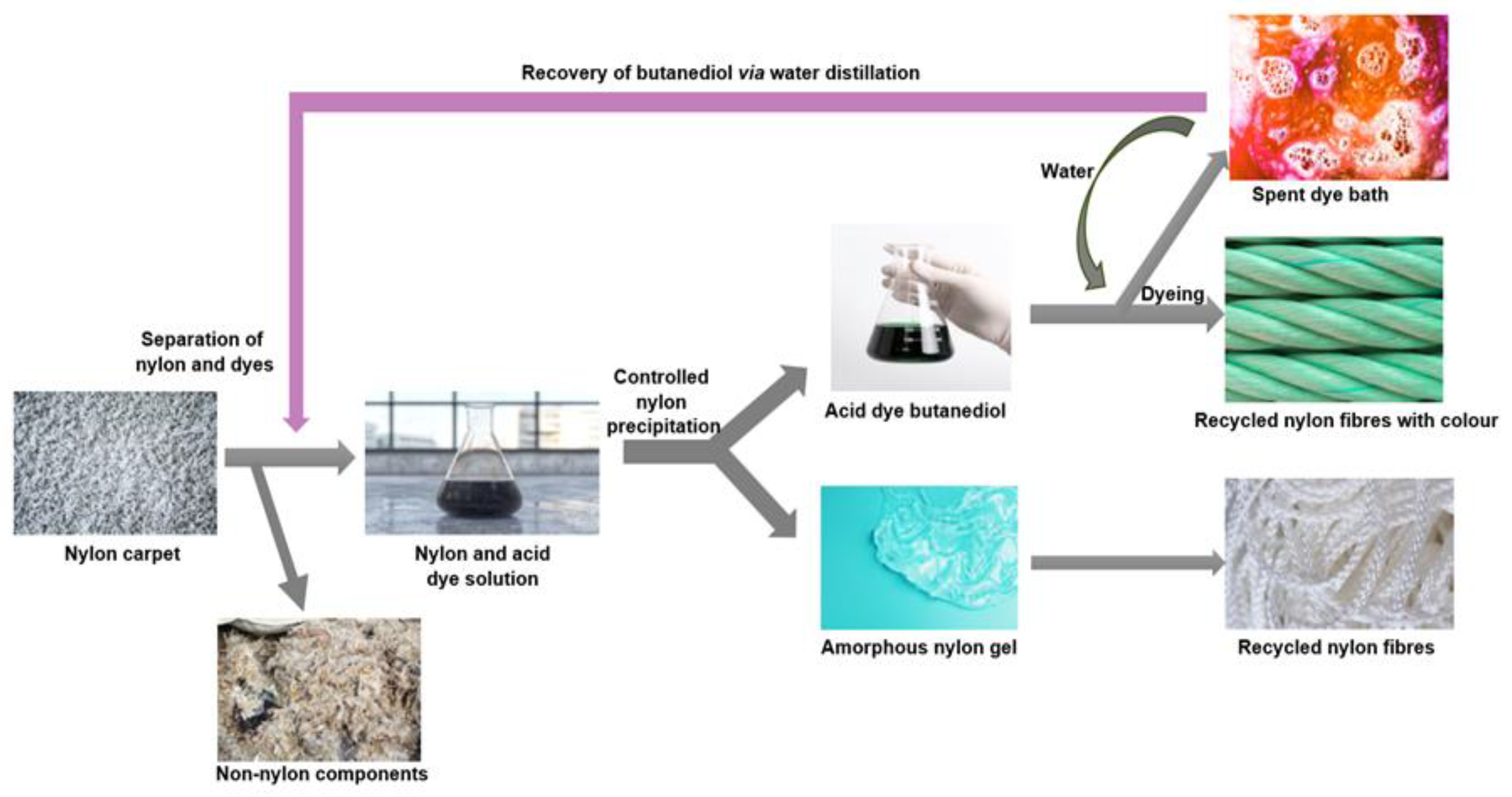 Molecules 30 00299 g006