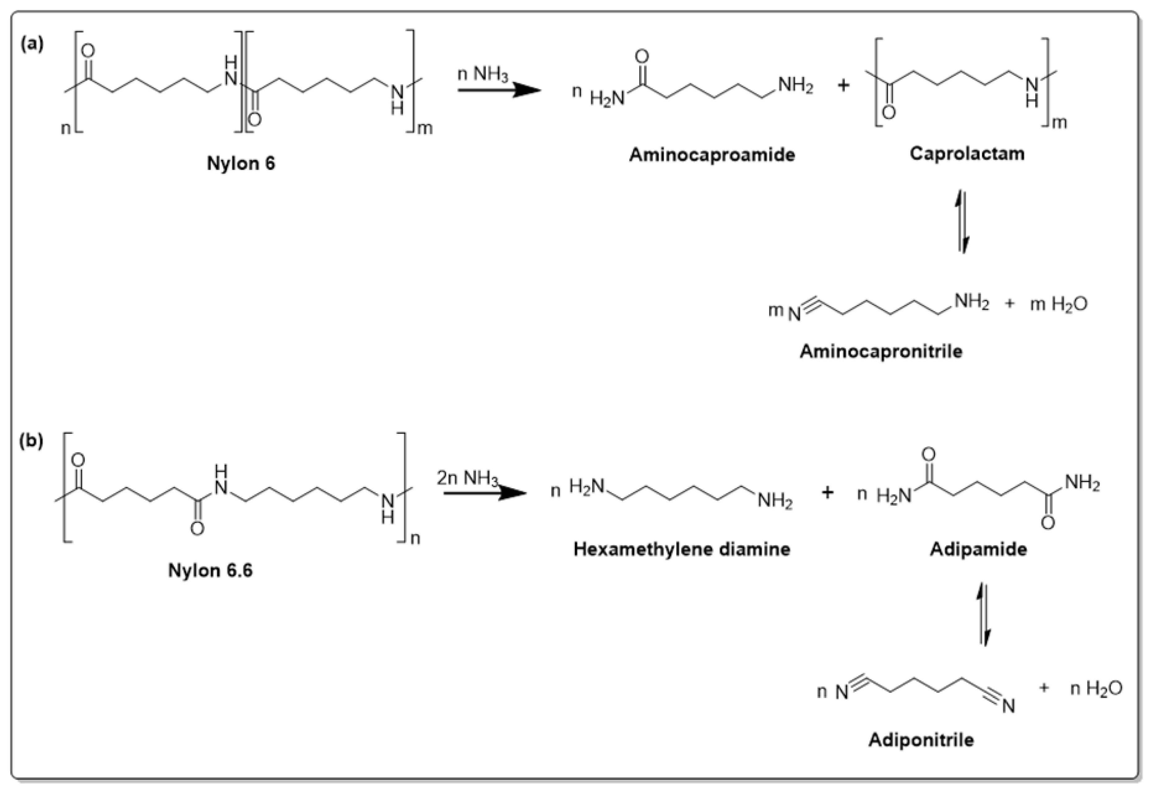 Molecules 30 00299 sch009