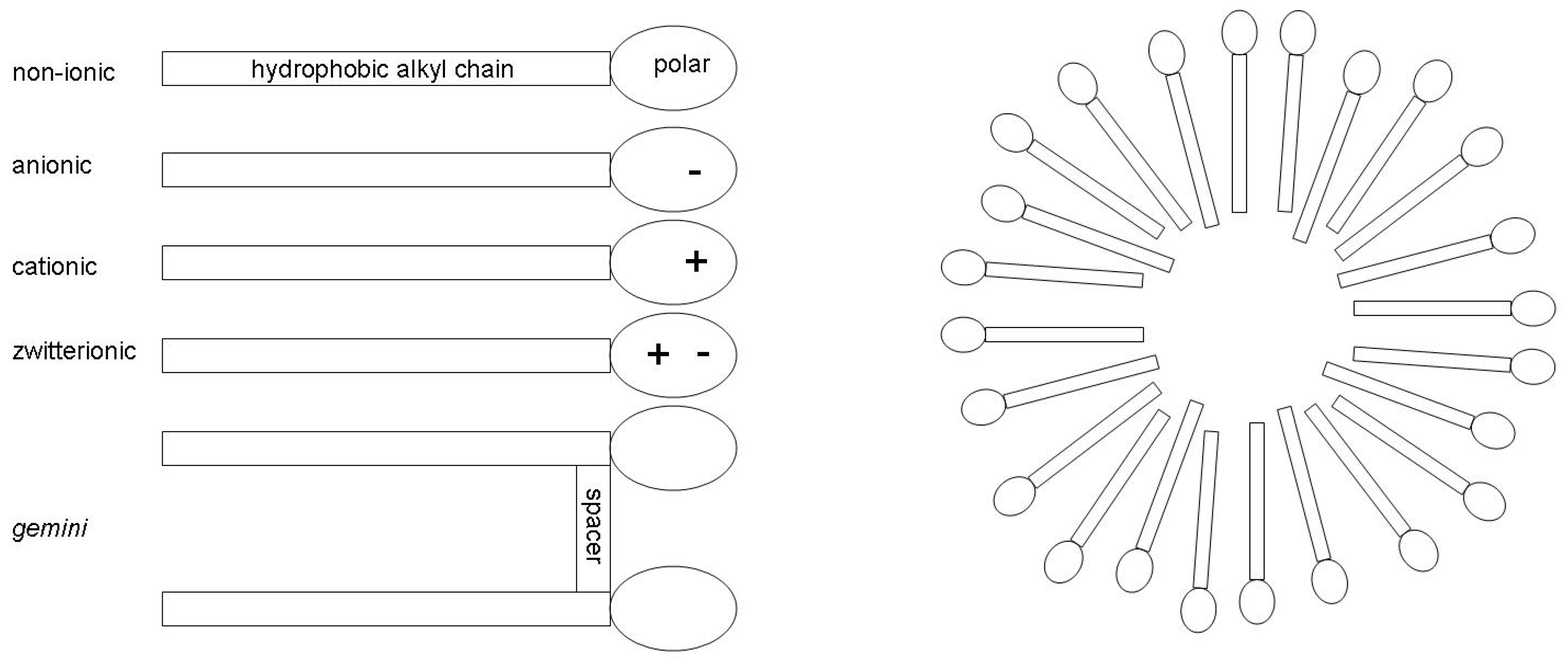 Molecules 30 00309 g001 Molecules 30 00309 g001